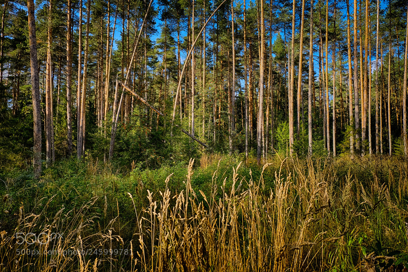 Fujifilm X-T20 sample photo. At the edge of photography