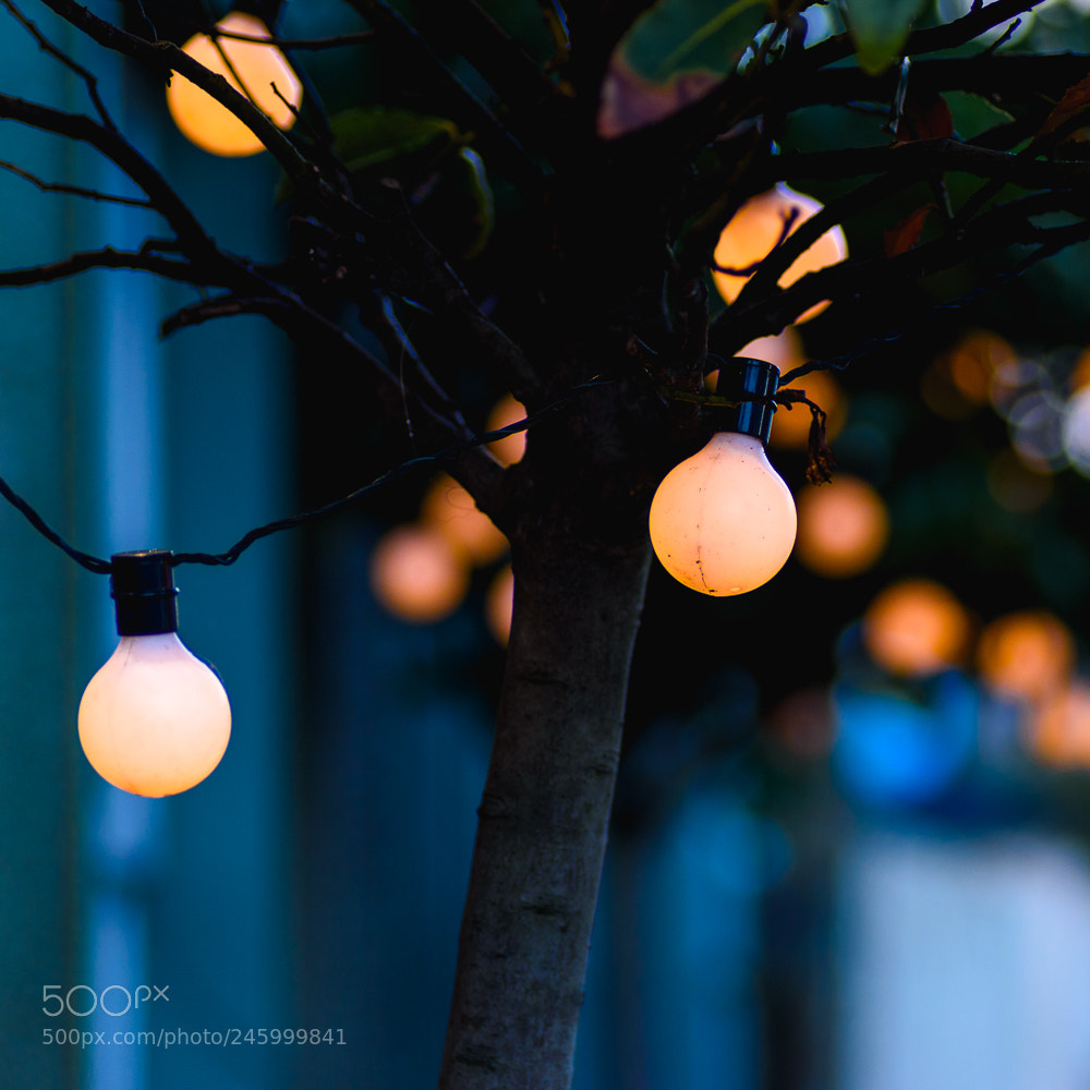 Nikon D5600 sample photo. Night lights photography