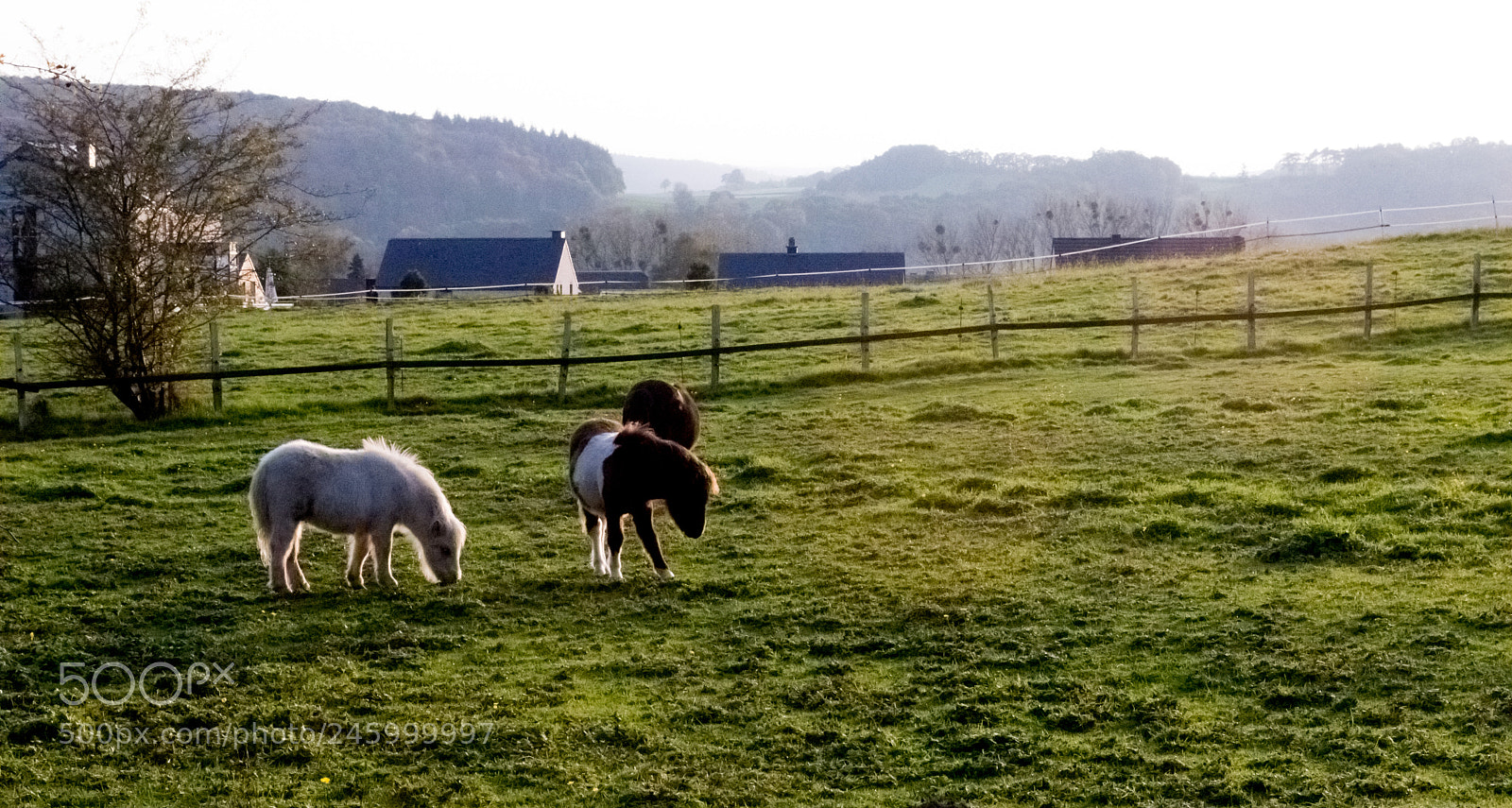Nikon D3200 sample photo. 26285921379.jpg photography