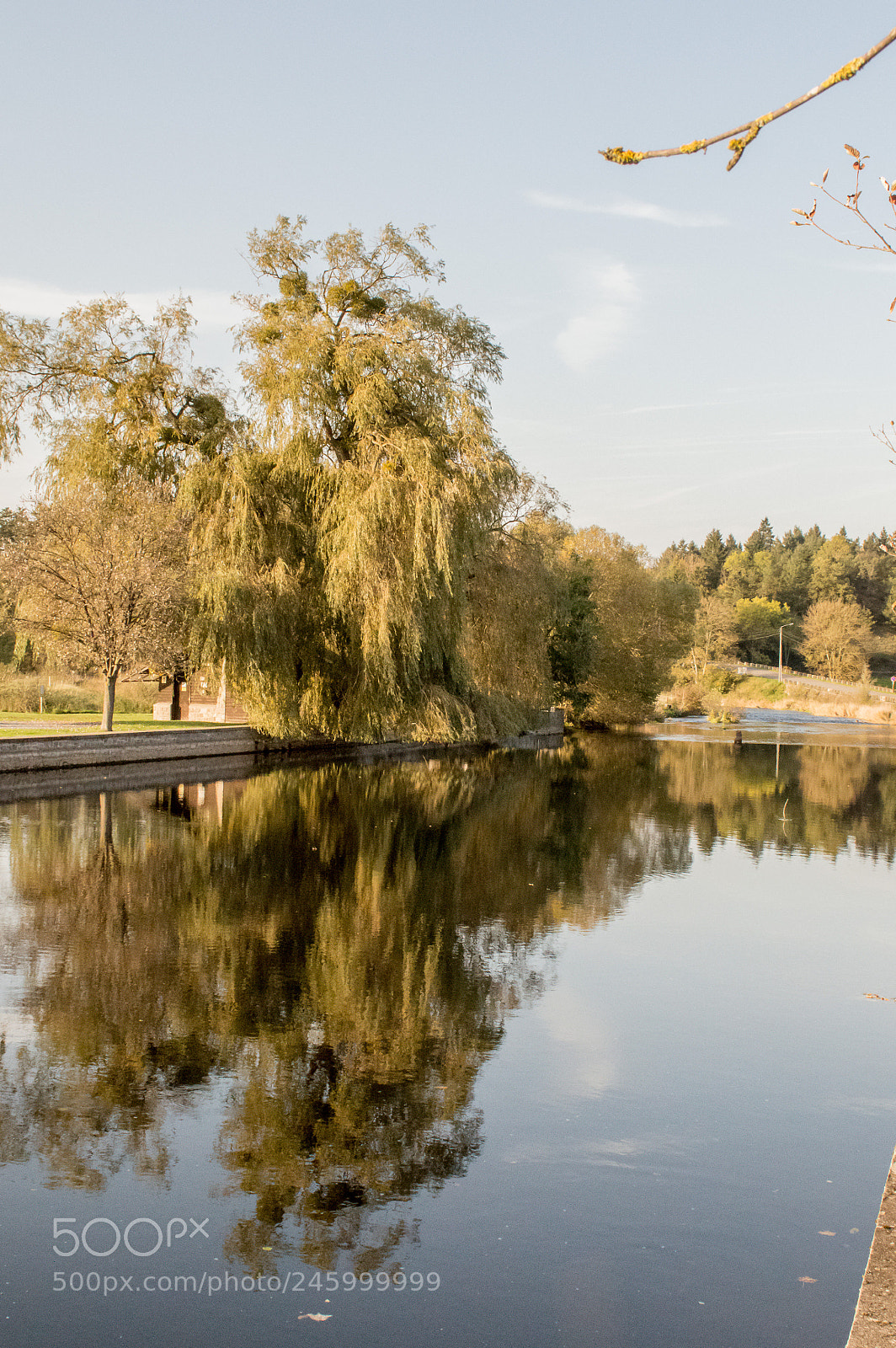 Nikon D3200 sample photo. 26285917759.jpg photography