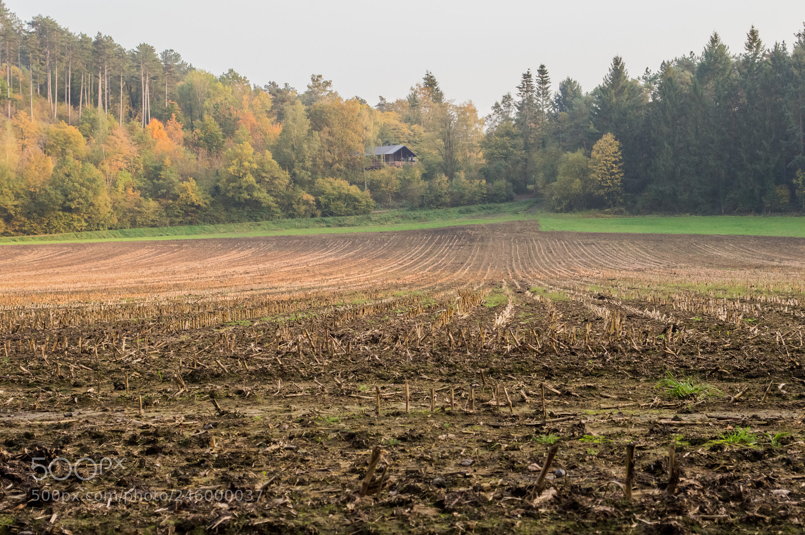 Nikon D3200 sample photo. 38031257832.jpg photography