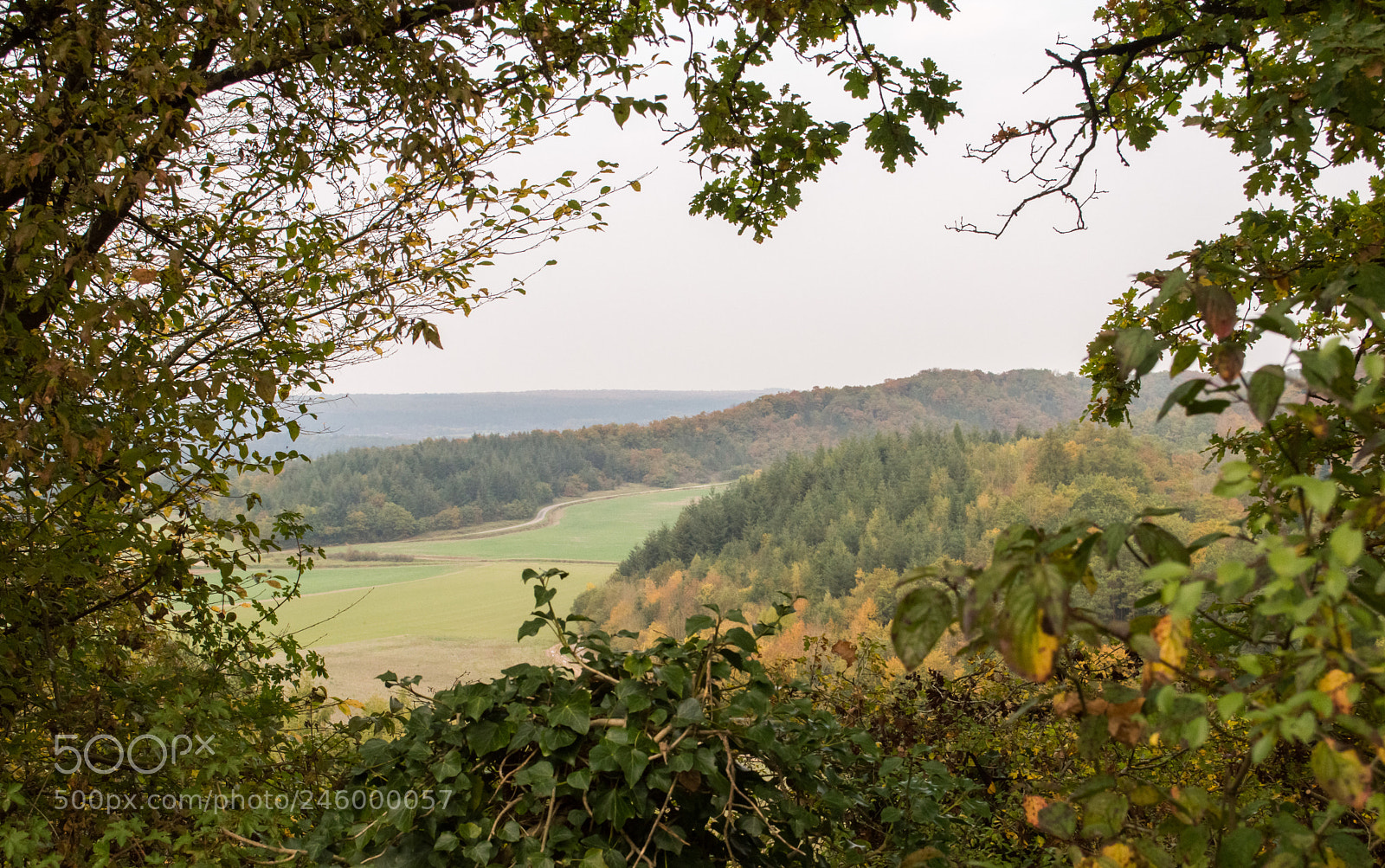 Nikon D3200 sample photo. 38031252422.jpg photography
