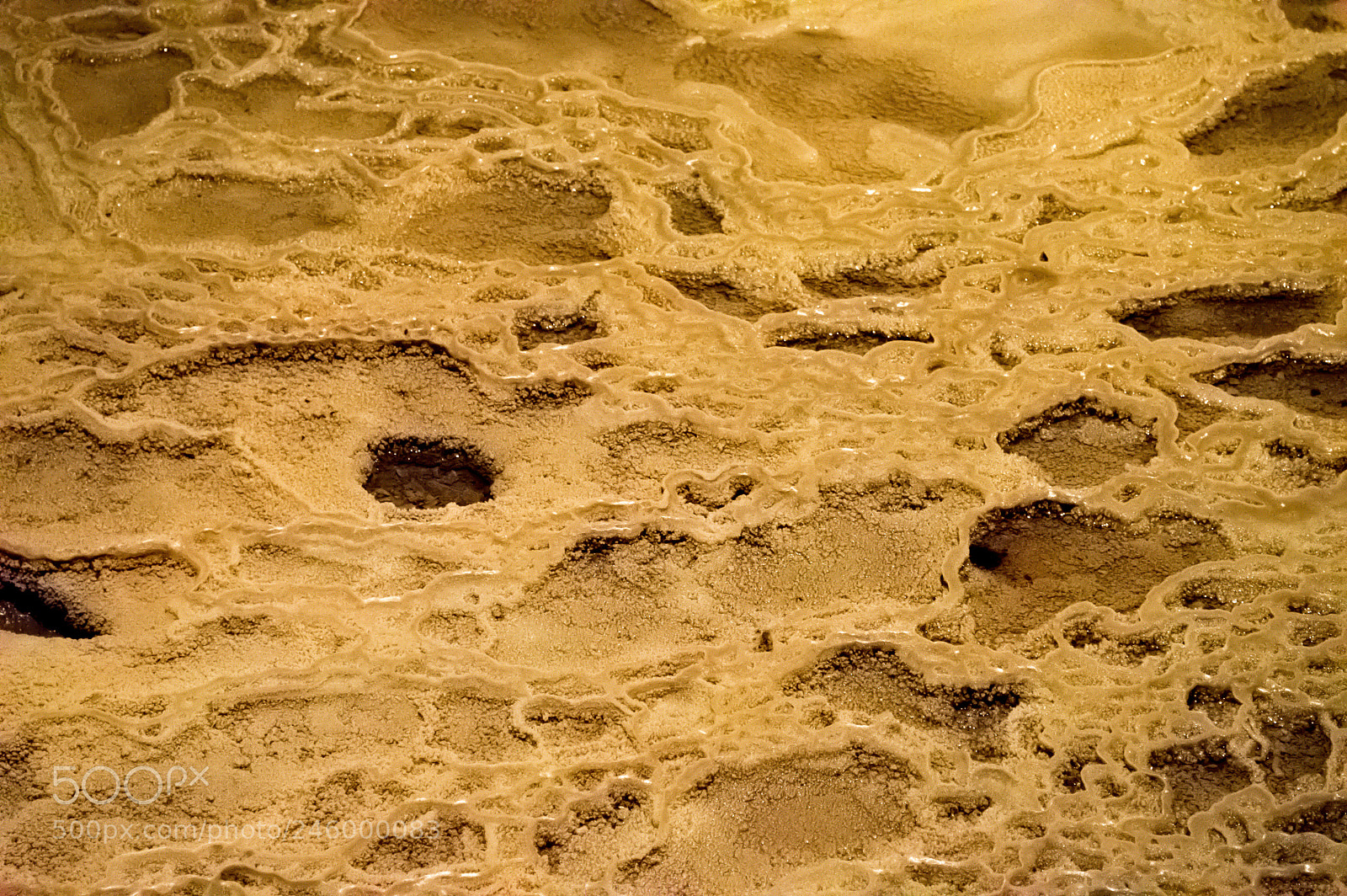 Nikon D3200 sample photo. 24209691558.jpg photography