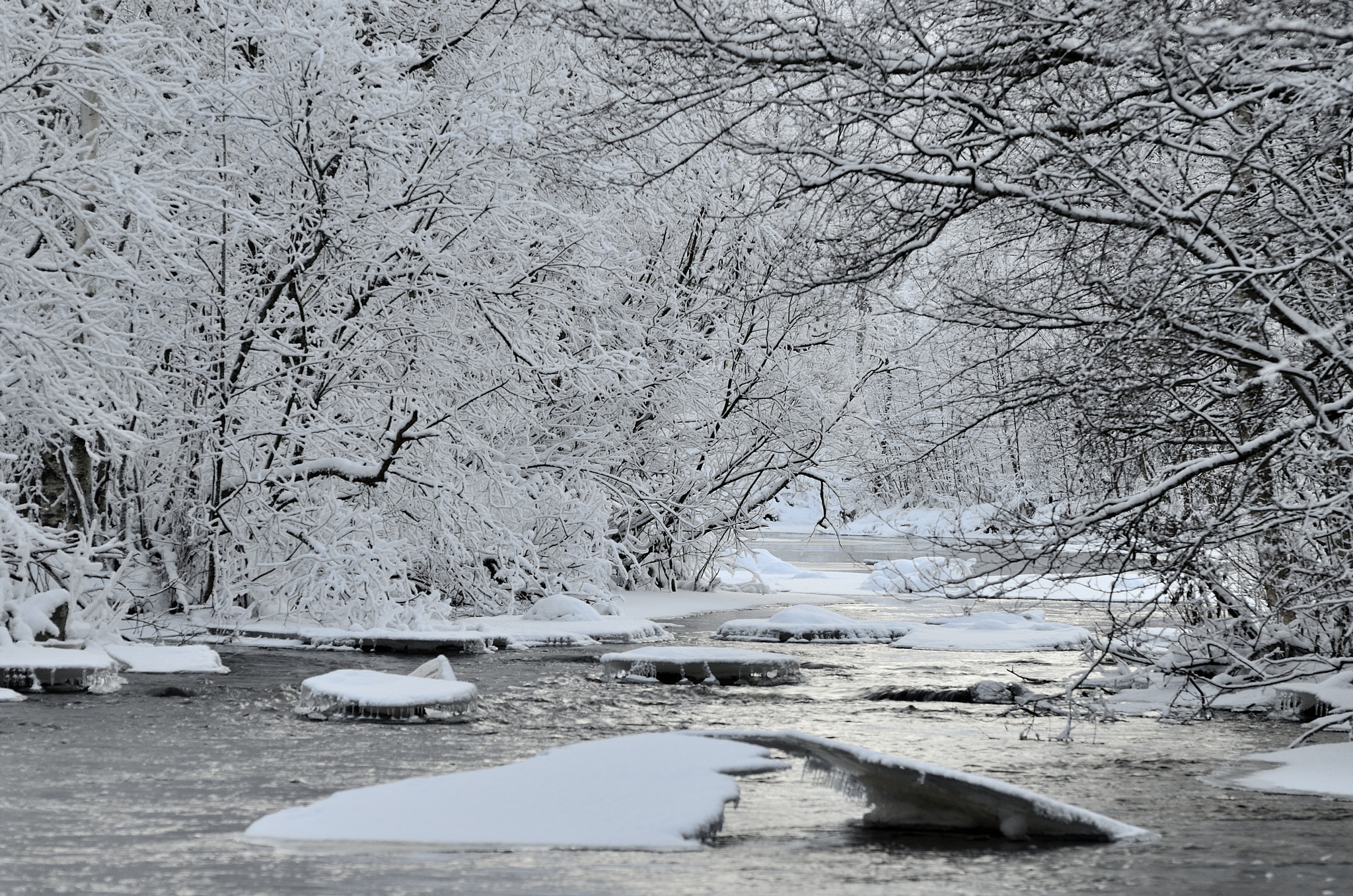 Nikon D5100 sample photo. Winter river photography