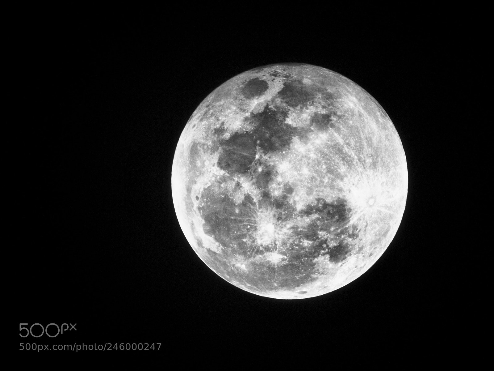 Nikon D850 sample photo. Untitled photography