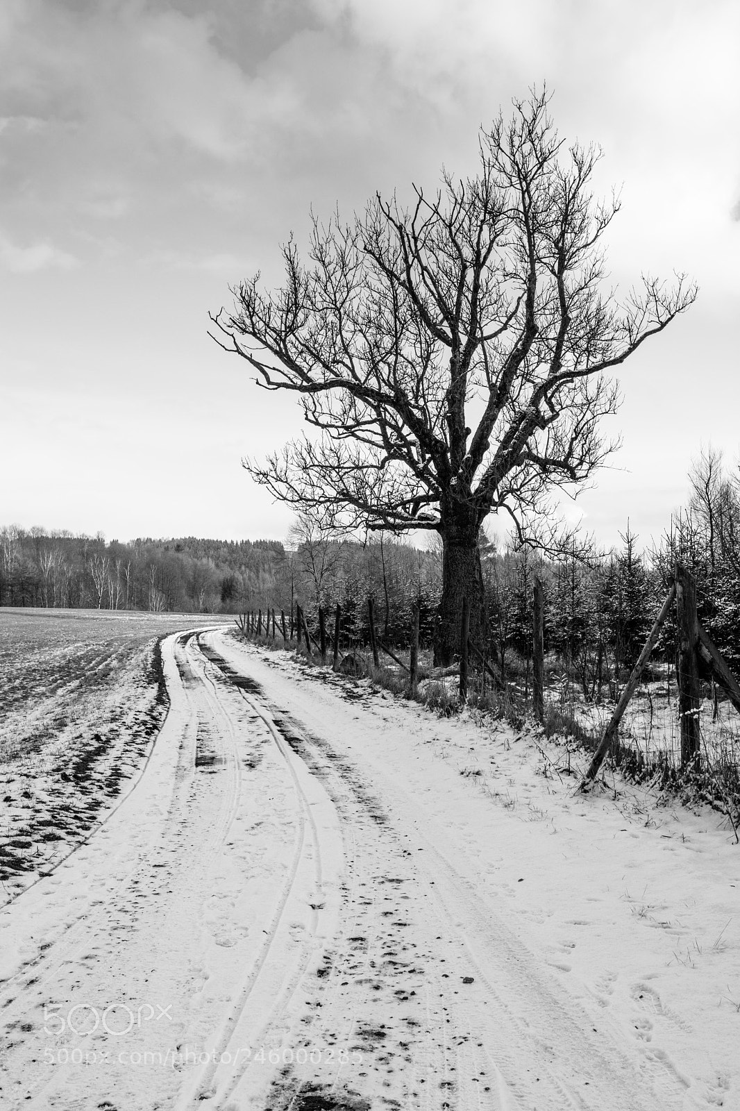 Nikon D7200 sample photo. The right way photography