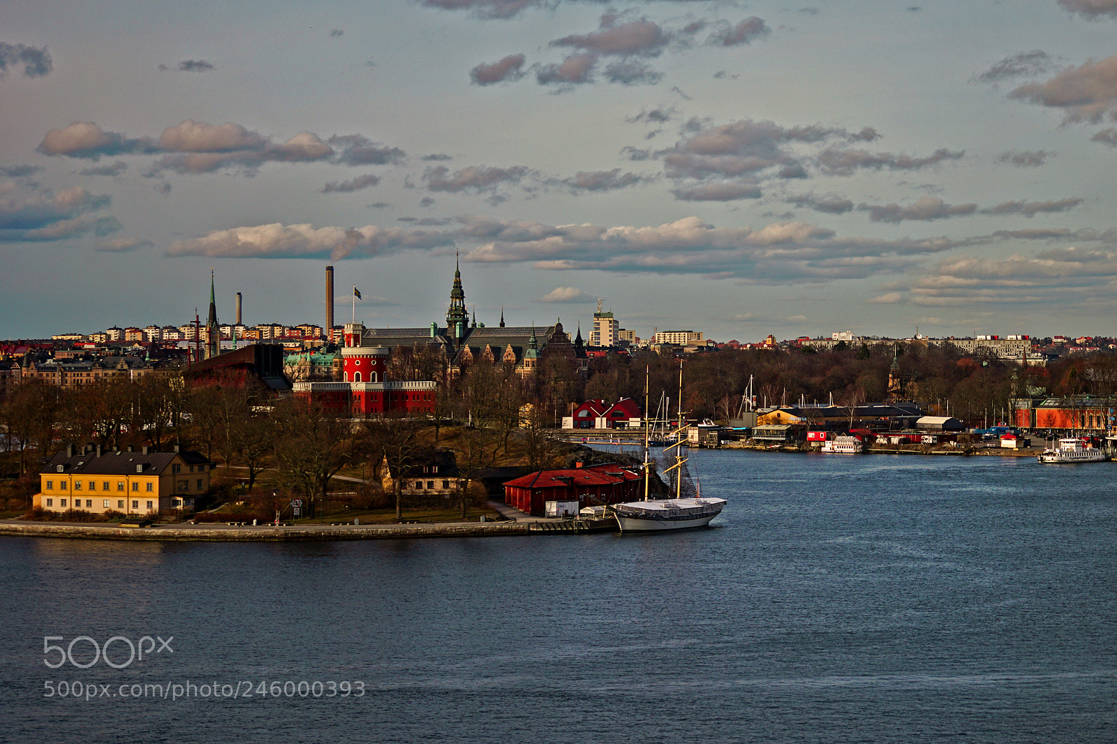 Sony a7 II sample photo. Dsc photography