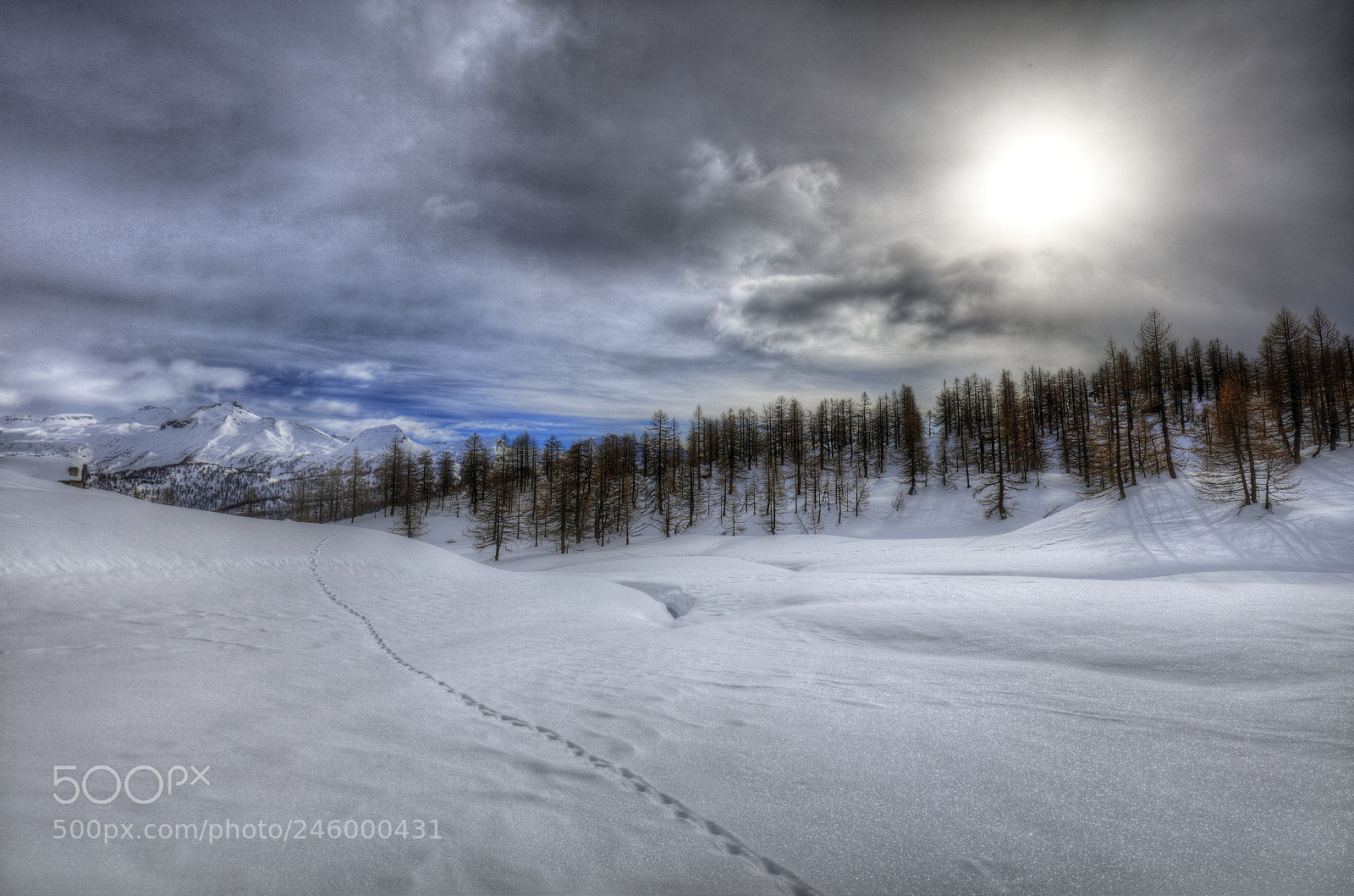 Canon EOS 5DS R sample photo. The trace photography