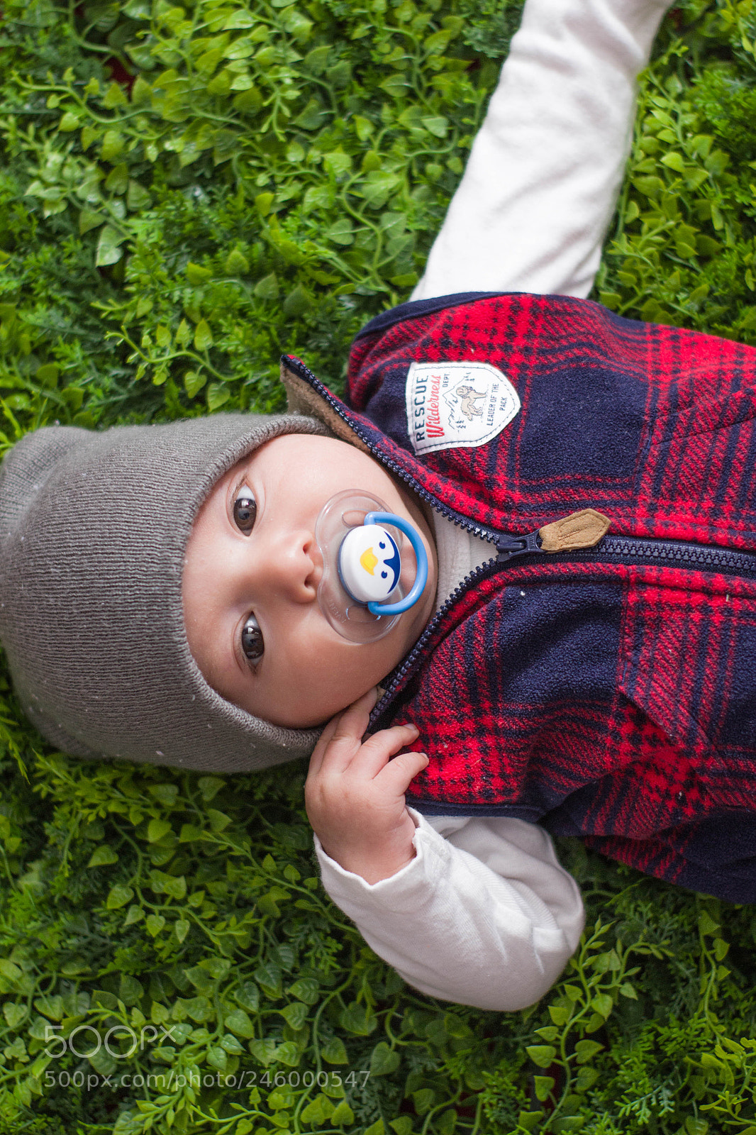 Canon EOS 100D (EOS Rebel SL1 / EOS Kiss X7) sample photo. Baby and bear photography