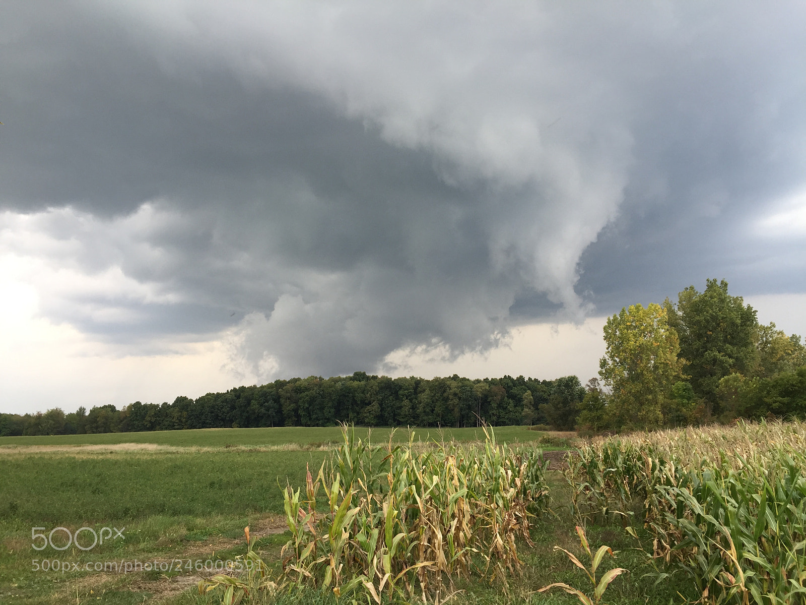 Apple iPhone 6 Plus sample photo. Storm coming photography