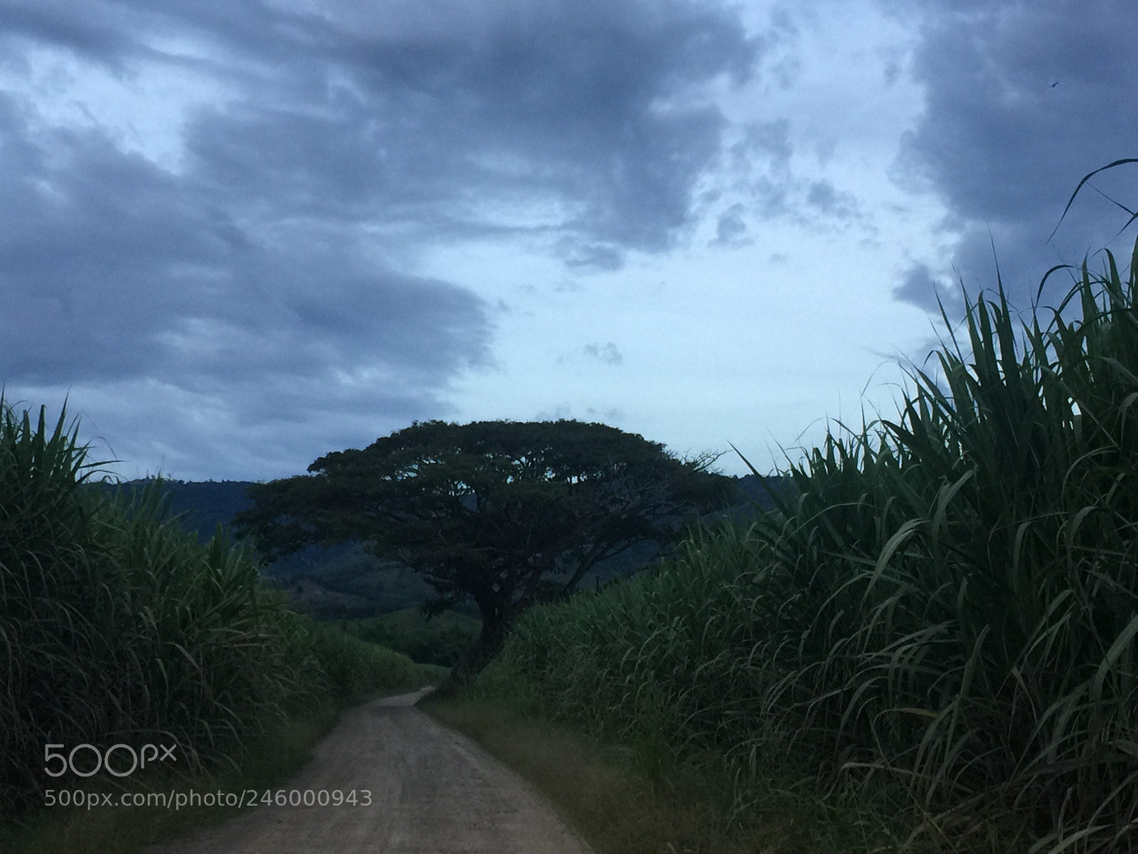 Apple iPhone 6 Plus sample photo. Backroad photography