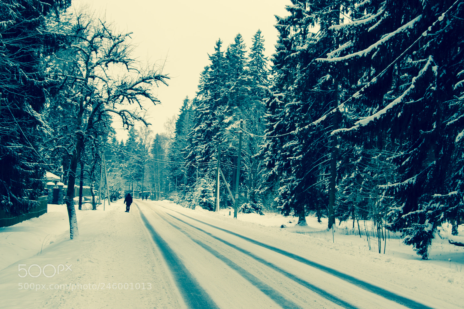 Nikon D3100 sample photo. Winter road photography