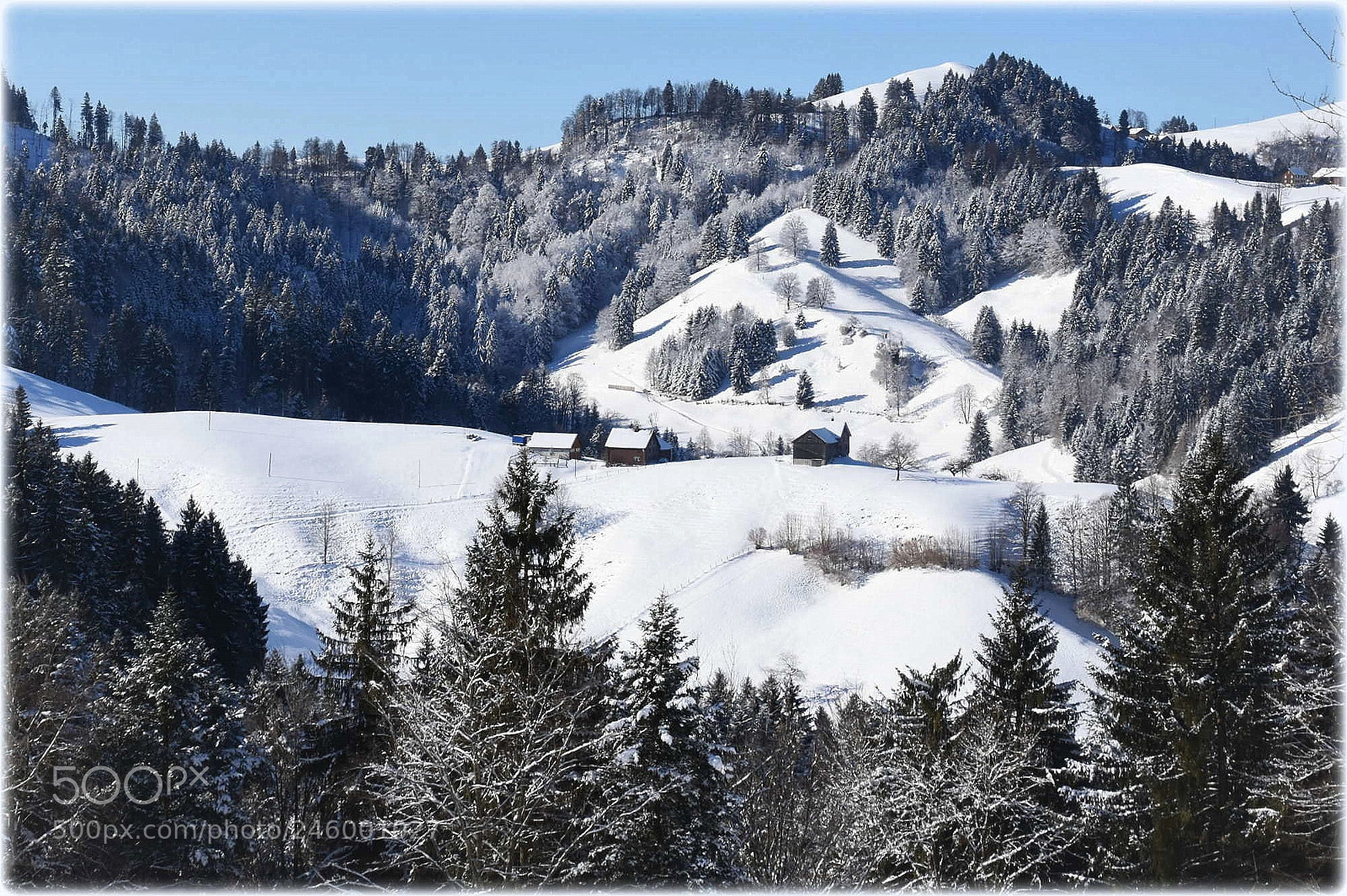 Nikon D7200 sample photo. "snowy landscape" photography