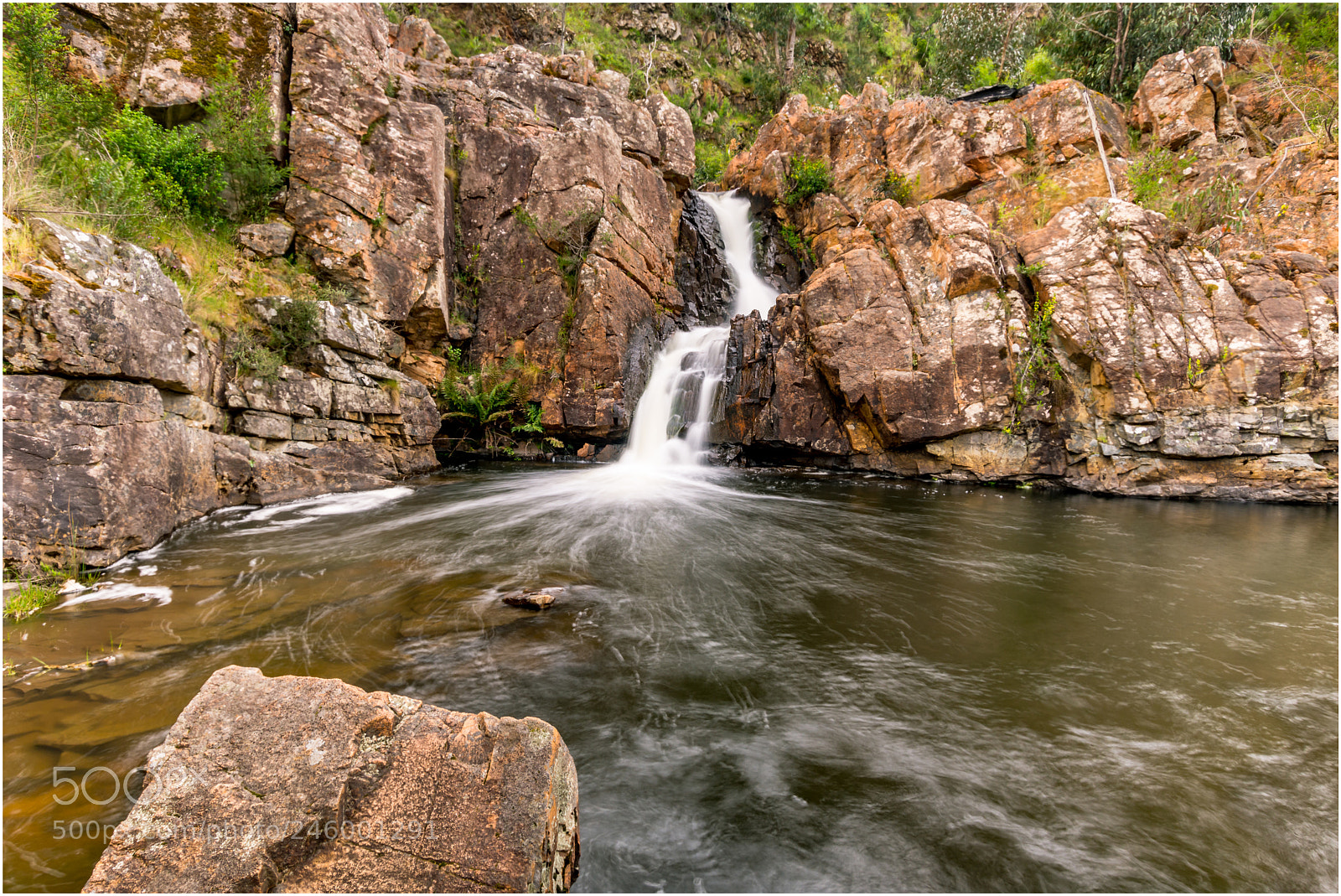 Nikon D7200 sample photo. Halls gap photography