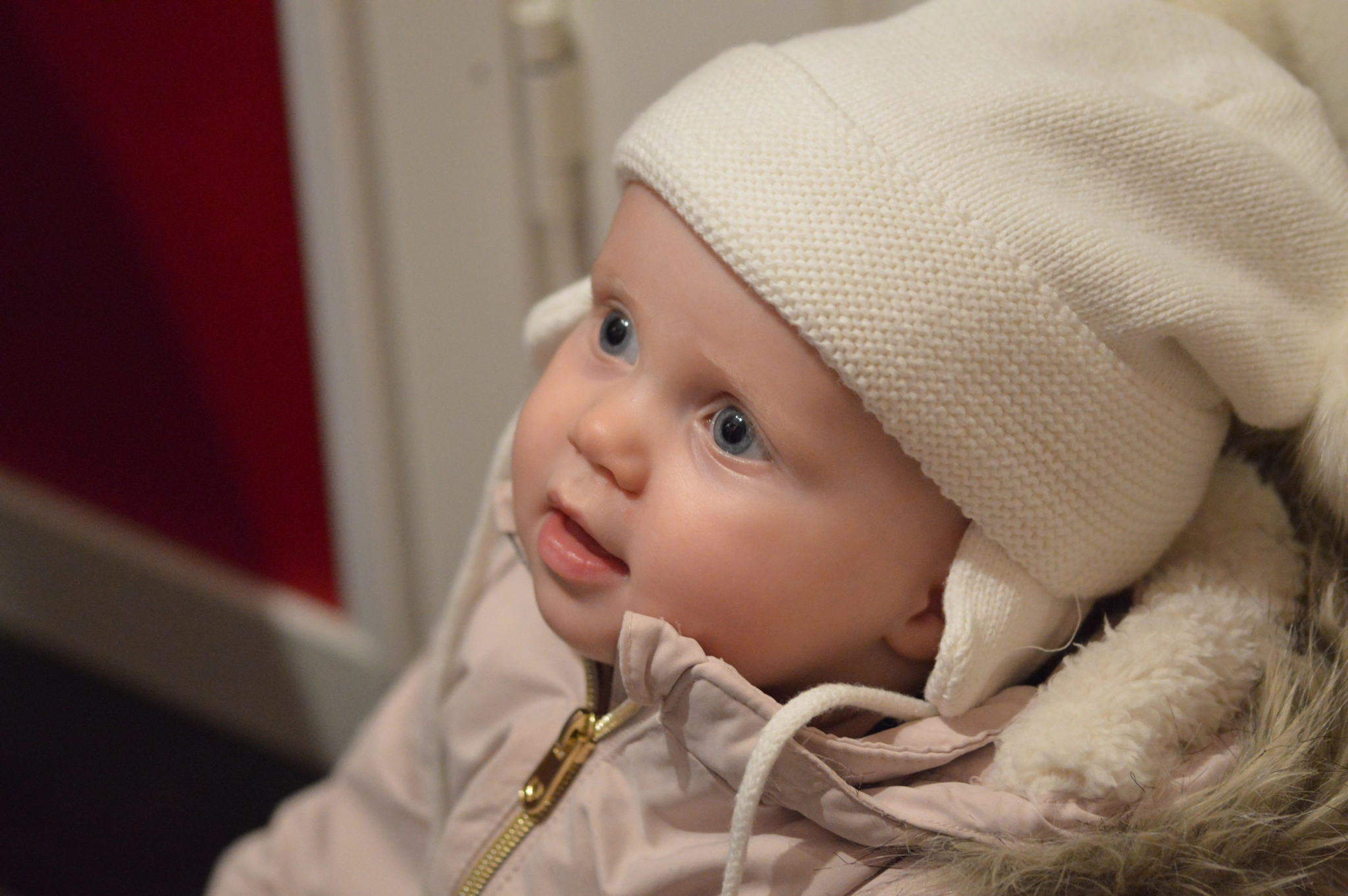 Sigma 105mm F2.8 EX DG OS HSM sample photo. Elsa photography