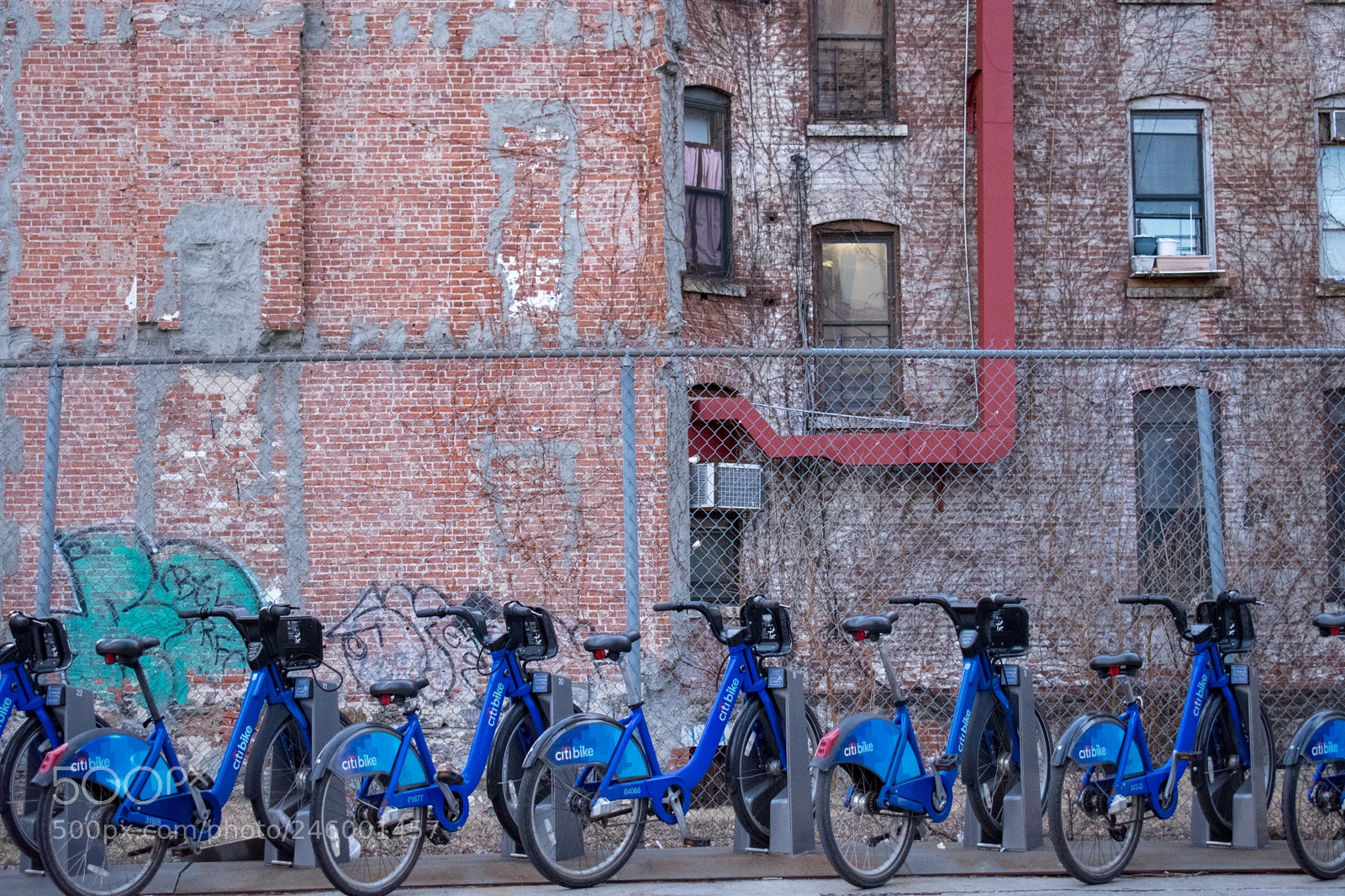 Nikon D3400 sample photo. Citibikes all in a photography