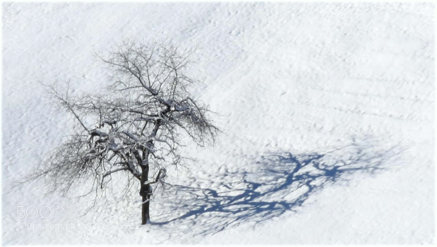 Nikon D7200 sample photo. "shadowtheater" photography