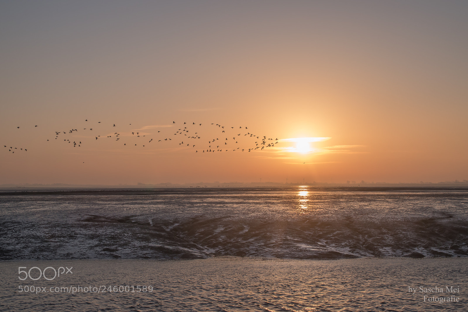 Nikon D5500 sample photo. Morning light photography
