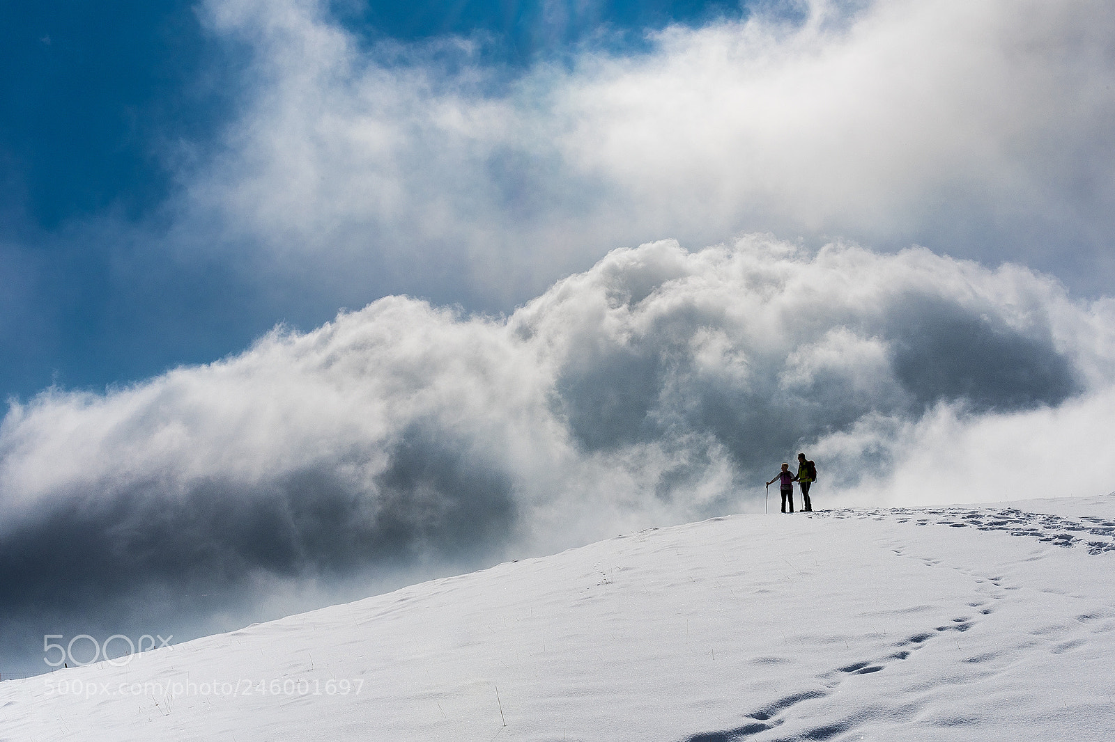 Nikon D810 sample photo. Over the clouds photography