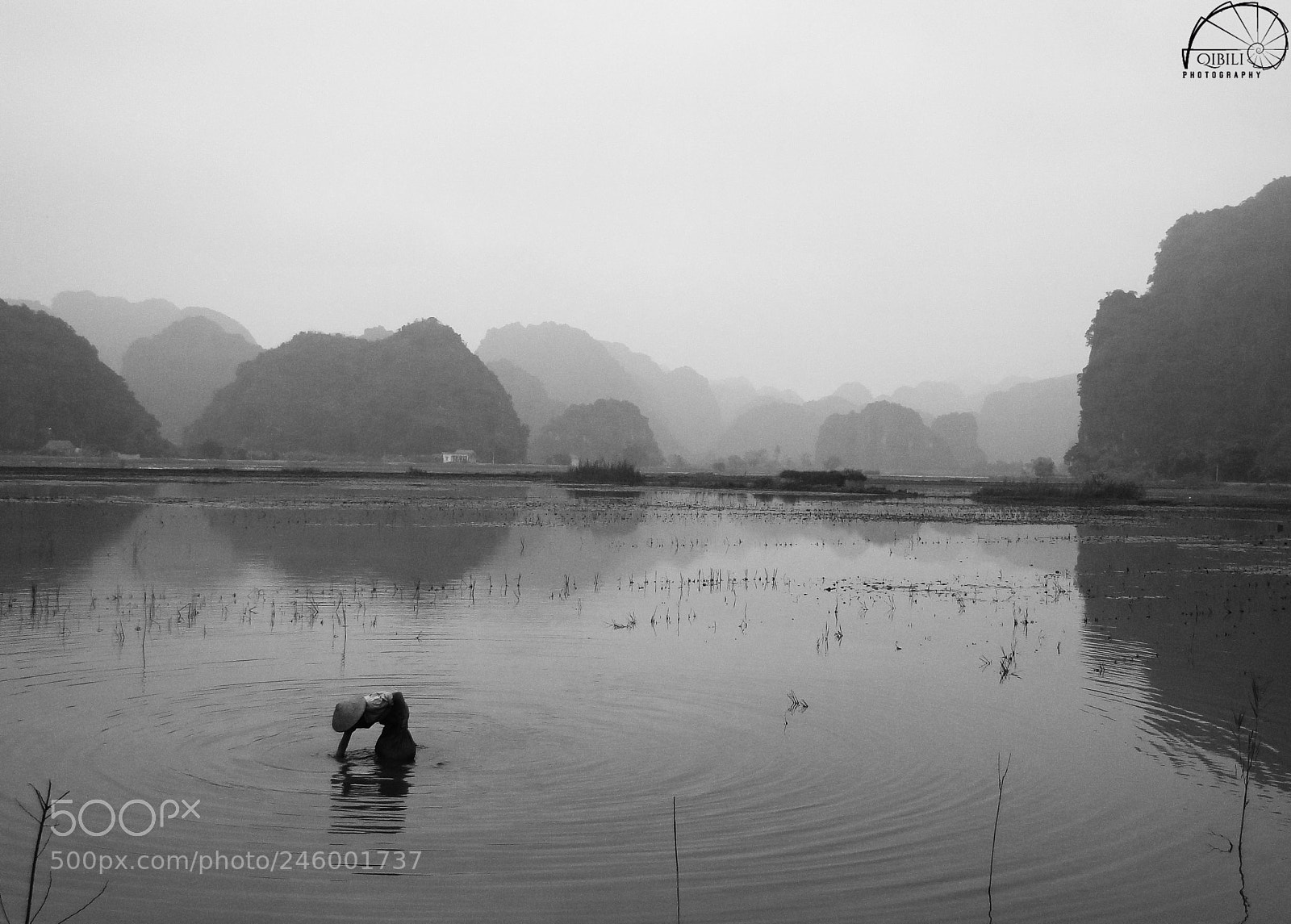Sony Cyber-shot DSC-HX1 sample photo. Hoa lu rice farmer photography