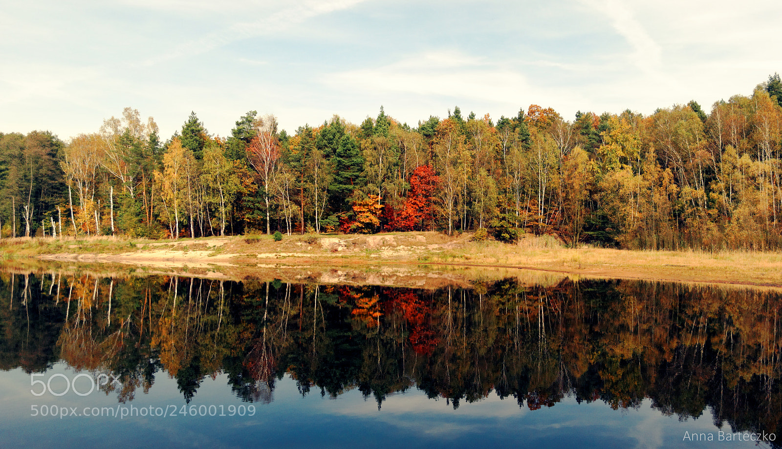 Nikon D3000 sample photo. Colorful autumn.jpg photography