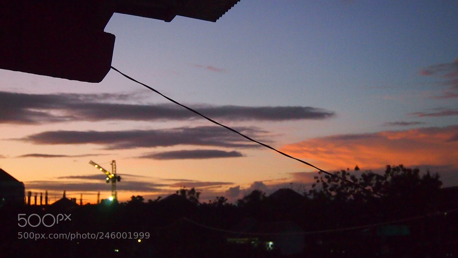 Olympus PEN E-PL3 sample photo. A study in purple photography