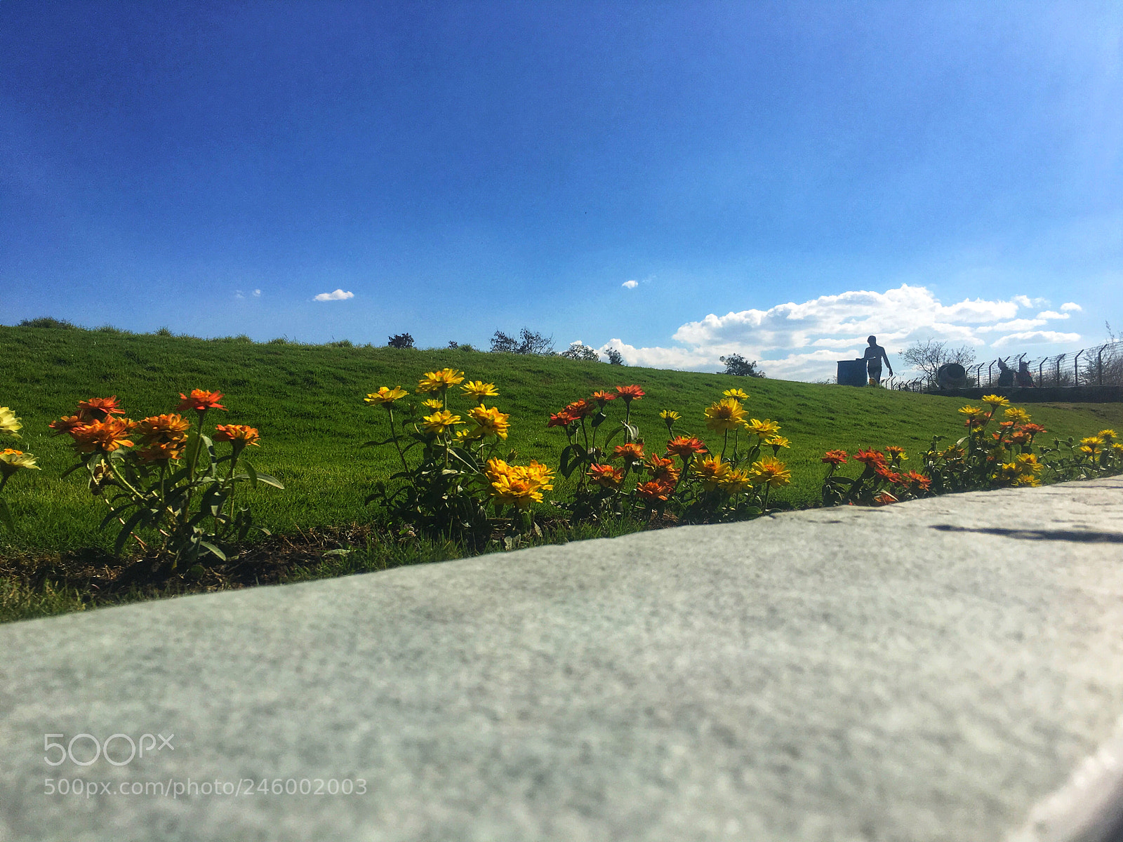 Apple iPhone 6s Plus sample photo. Untitled photography