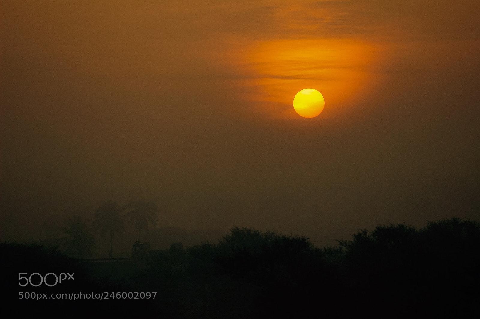 Canon EOS 600D (Rebel EOS T3i / EOS Kiss X5) sample photo. Rising sun photography