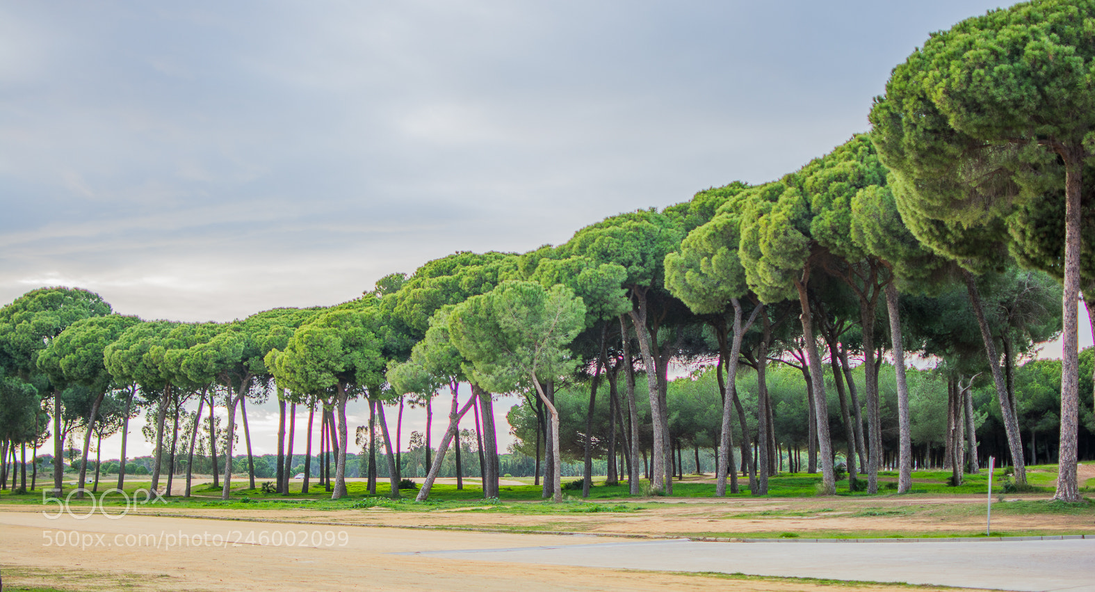 Nikon D5200 sample photo. Huelva photography