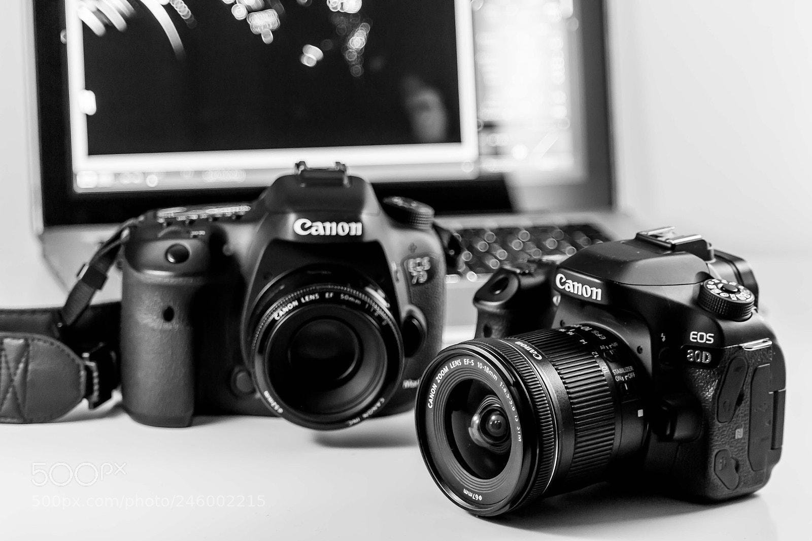 Canon EOS 600D (Rebel EOS T3i / EOS Kiss X5) sample photo. Untitled photography
