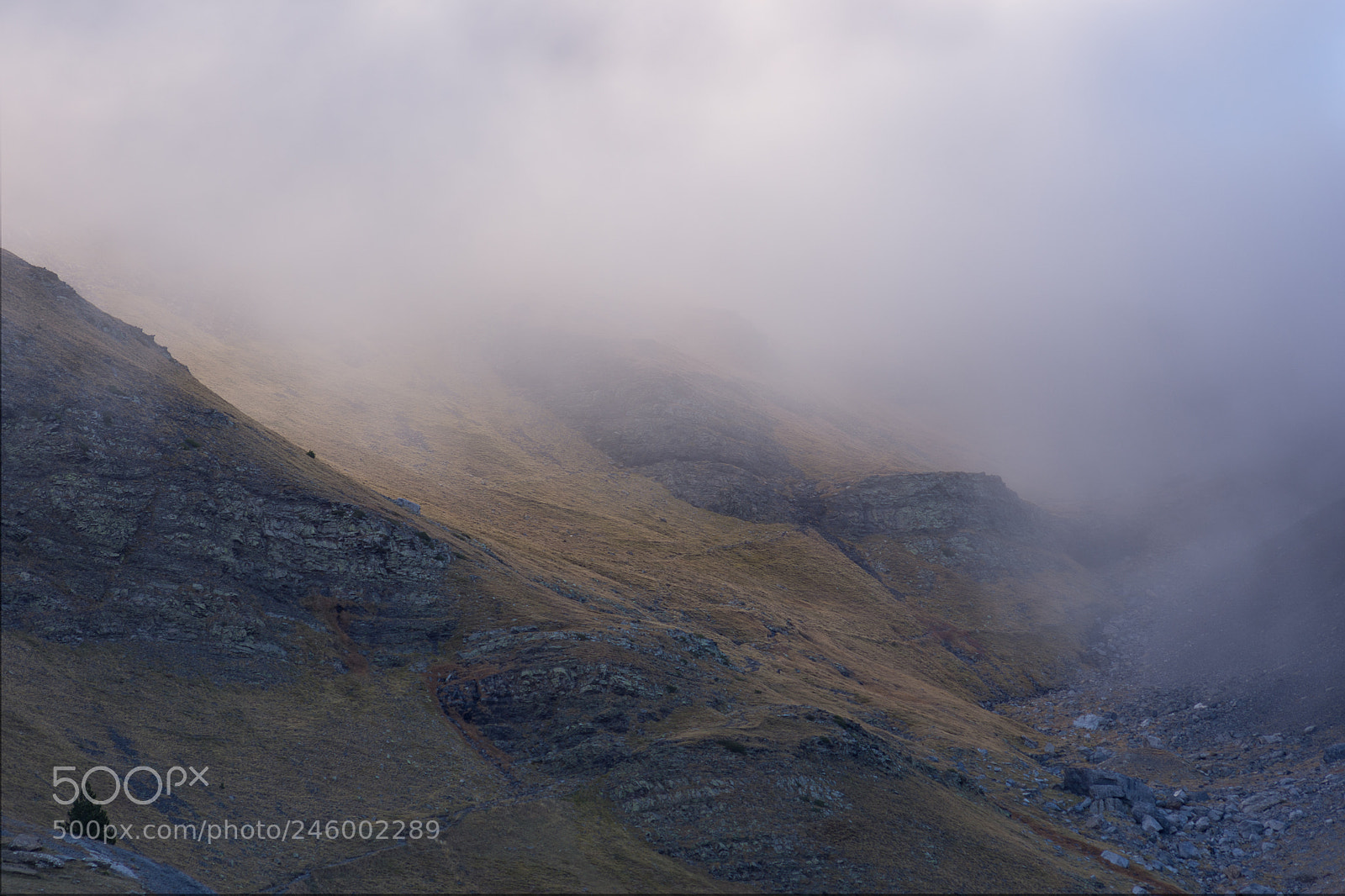 Nikon D7200 sample photo. These mist covered mountains photography