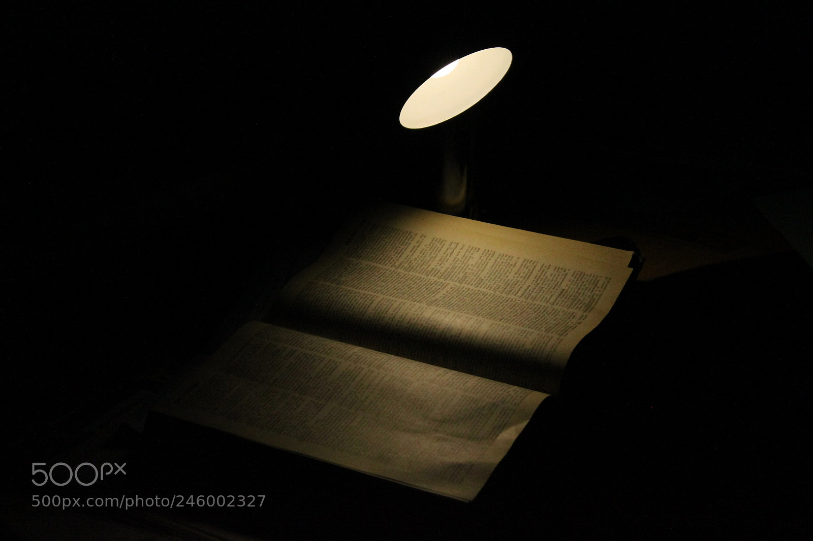 Canon EF-S 18-55mm F3.5-5.6 IS sample photo. Book photography