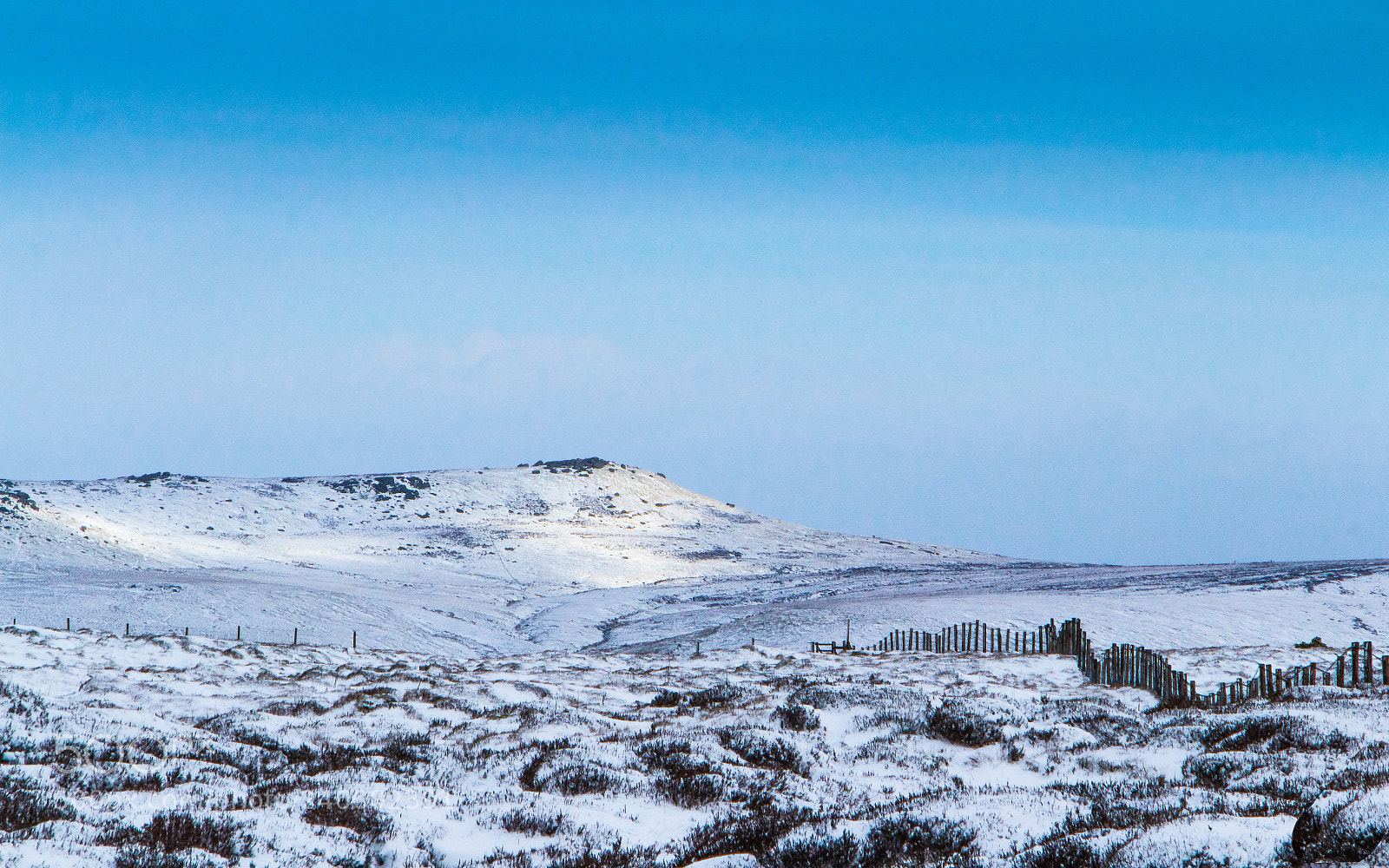 Canon EOS 700D (EOS Rebel T5i / EOS Kiss X7i) sample photo. Winter's beauty photography