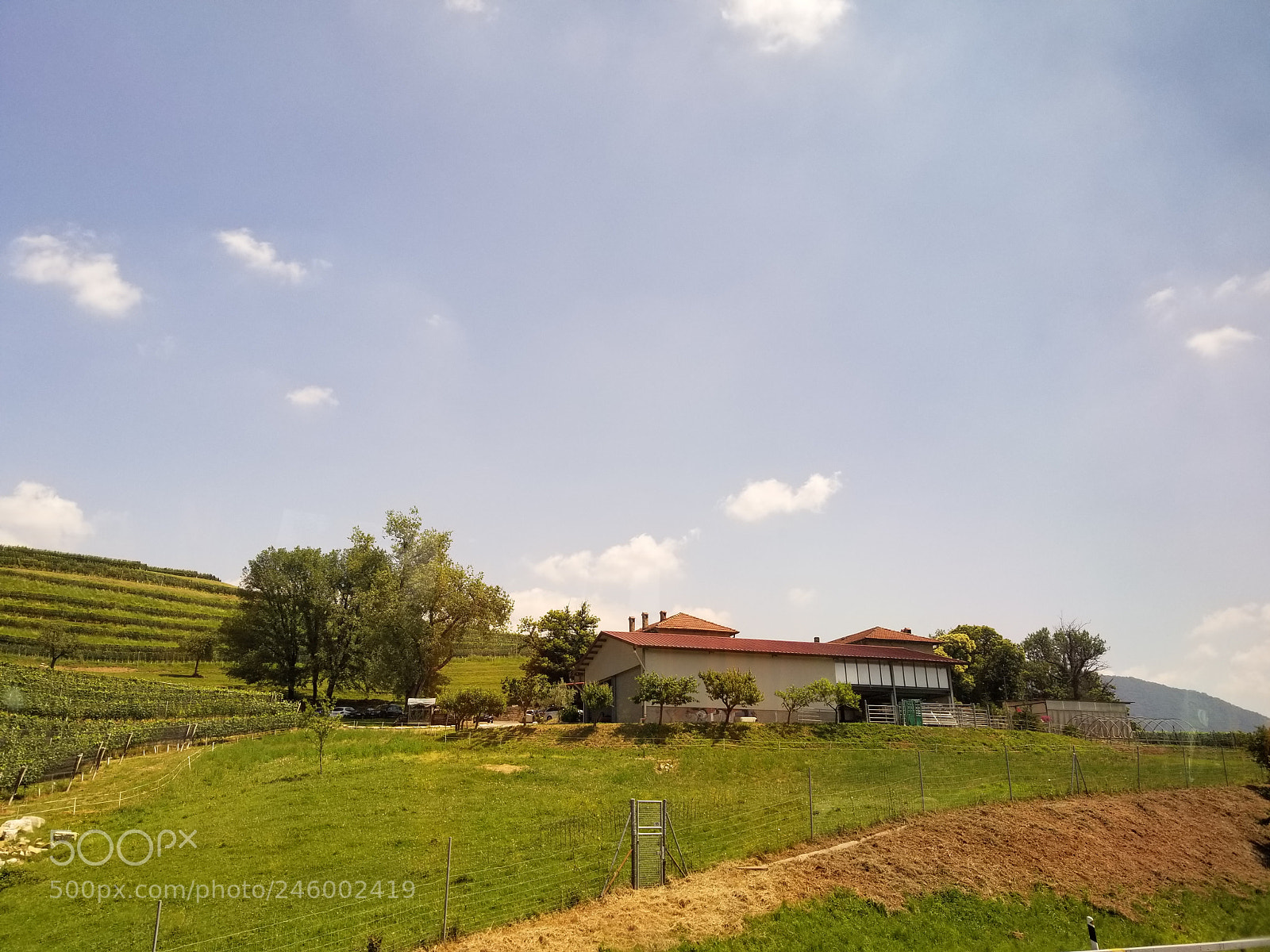 Samsung Galaxy S8 sample photo. 20170603_121649.jpg photography
