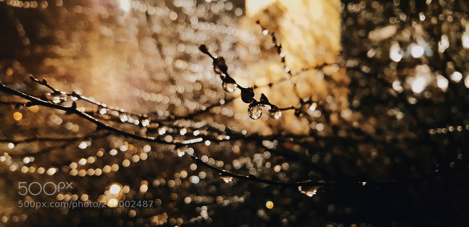 Samsung Galaxy Note5 sample photo. Drips photography