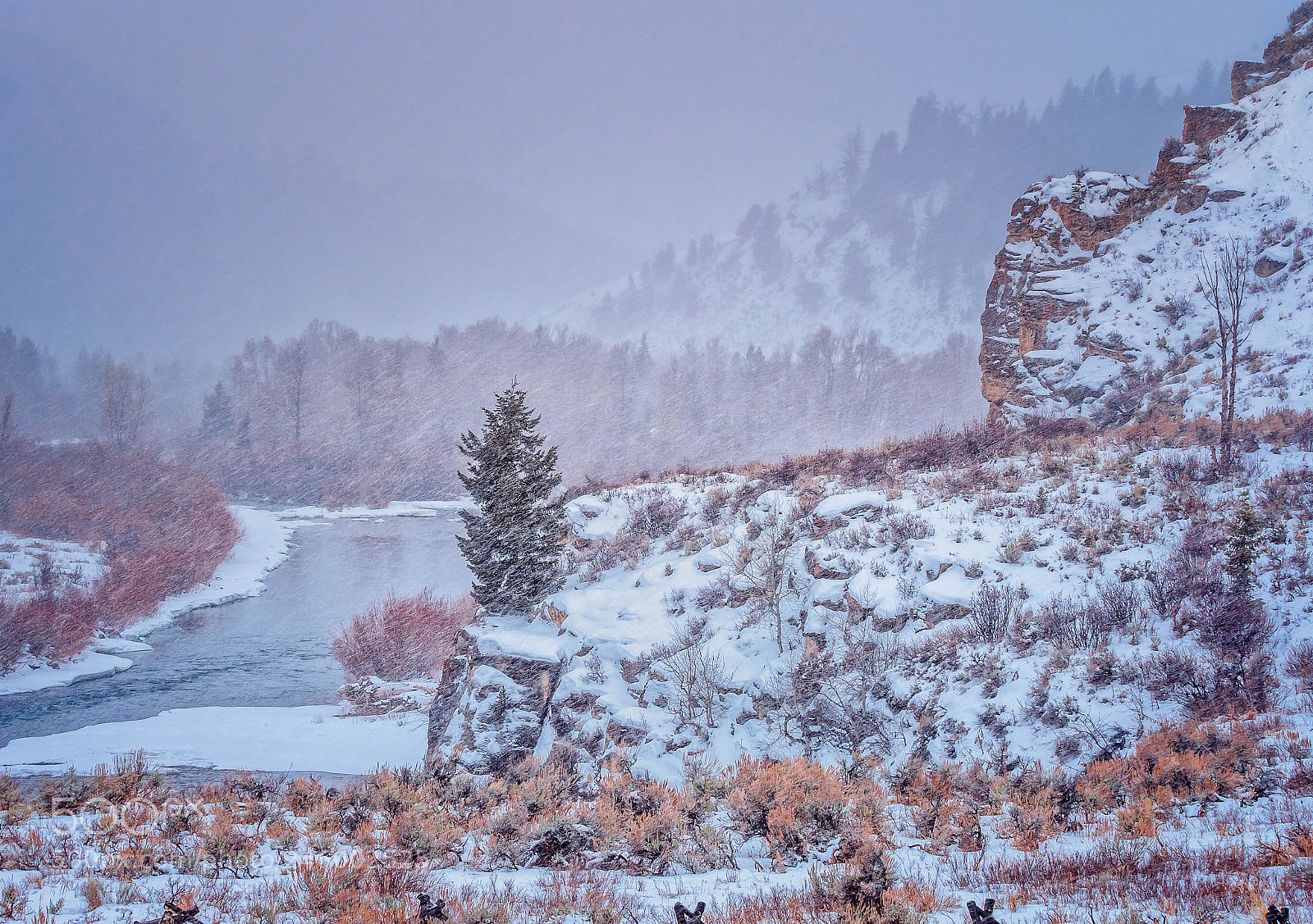 Olympus OM-D E-M5 II sample photo. Cold day for a photography