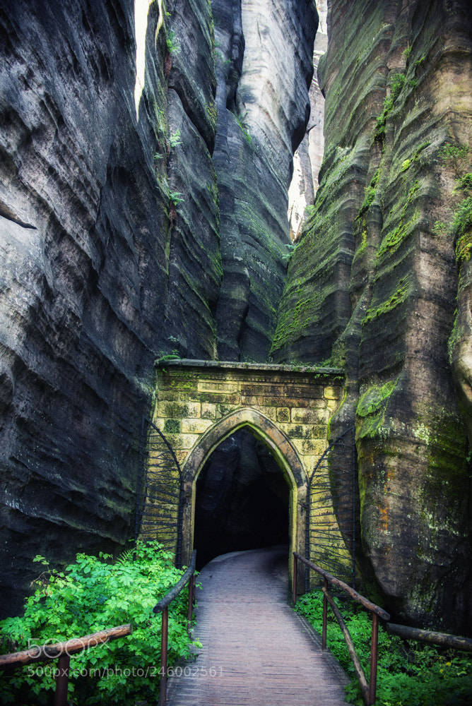 Nikon D610 sample photo. Stone city photography