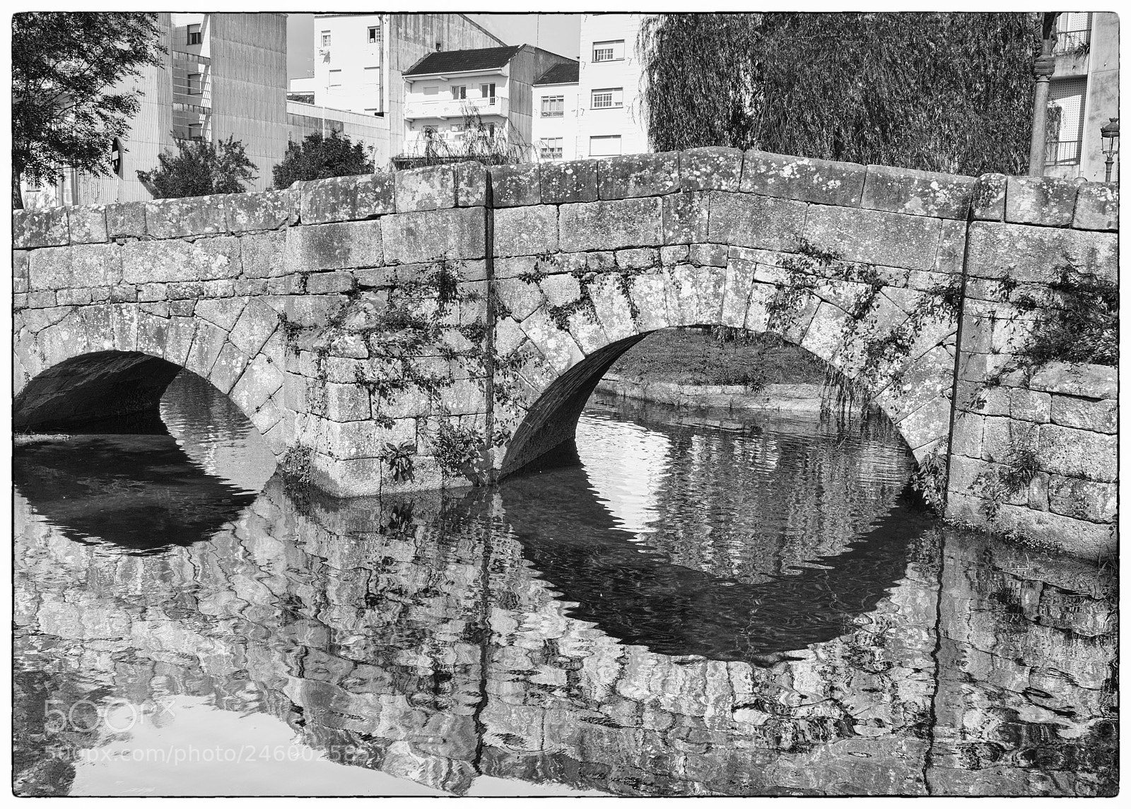 Sony a7R II sample photo. Caldas de reis, galicia photography
