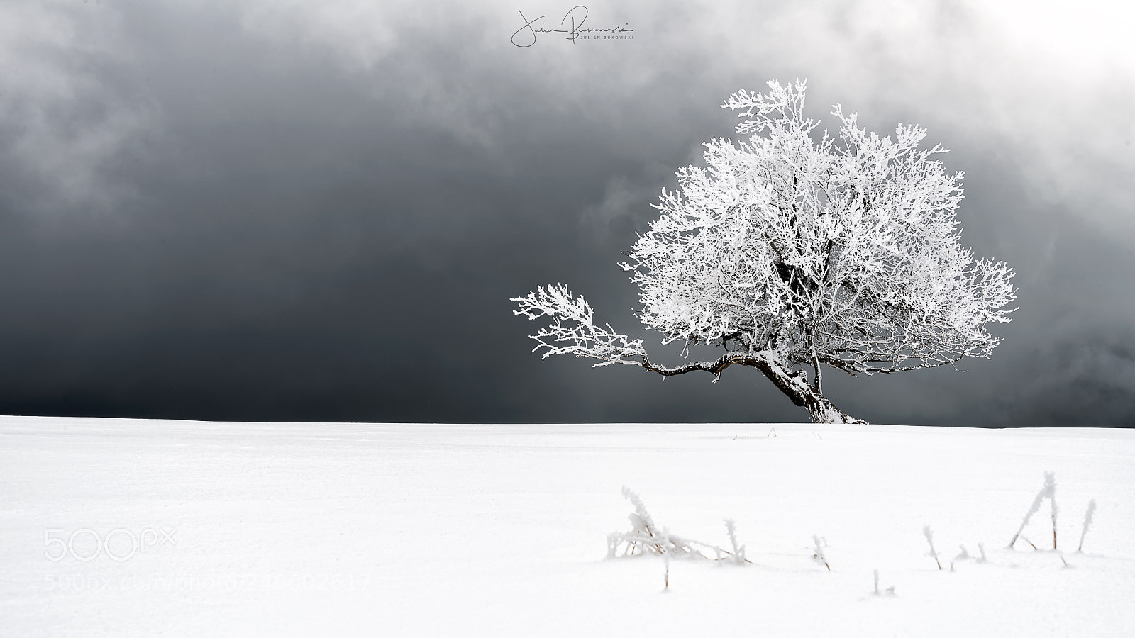 Nikon D800 sample photo. Blanc creux du van photography