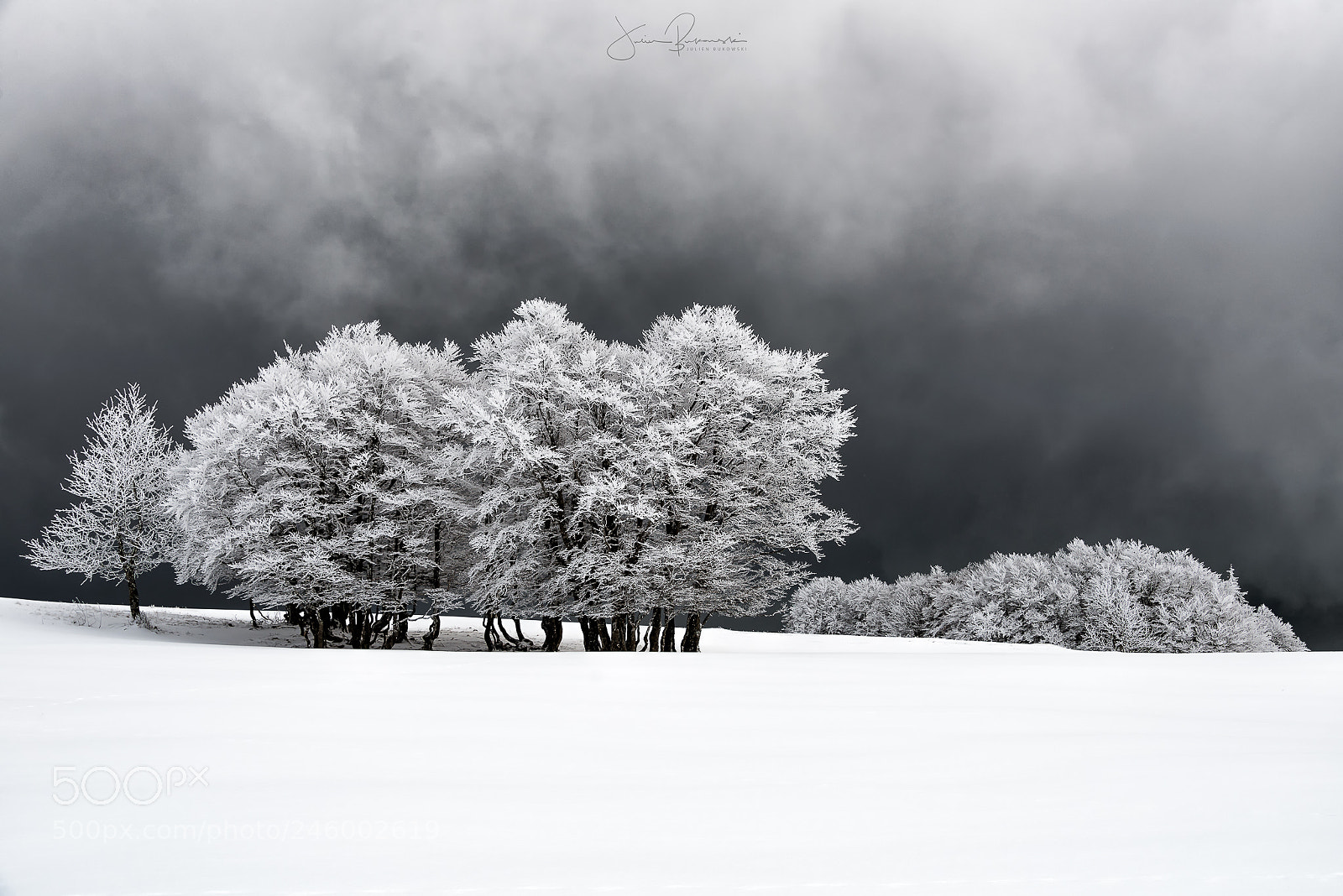 Nikon D800 sample photo. White spaces creux du photography