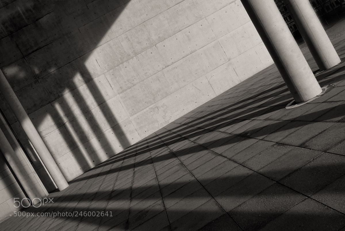 Panasonic Lumix DMC-LX100 sample photo. Shadow worlds ... photography