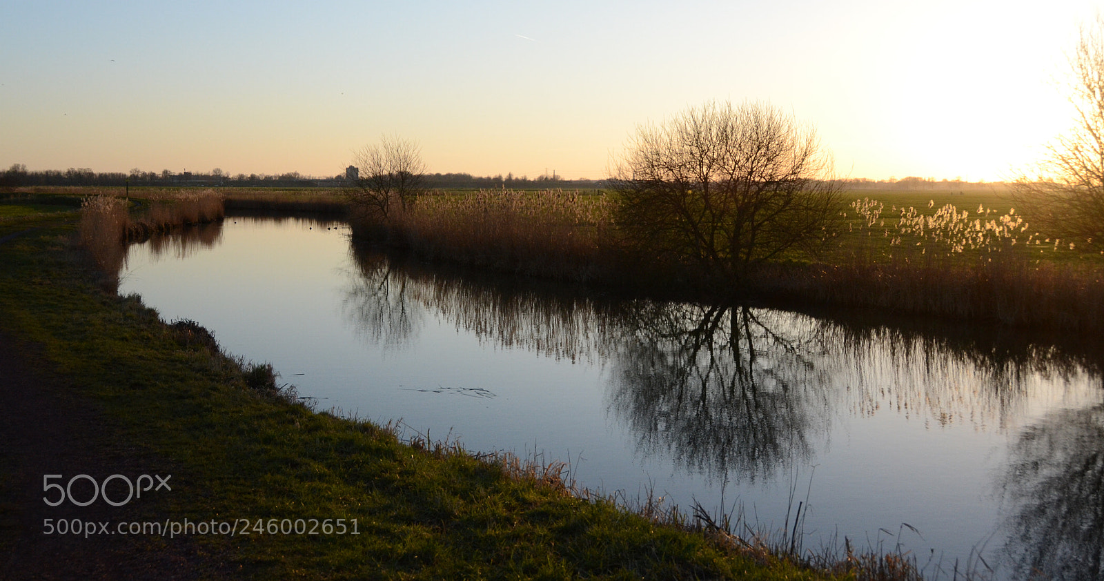 Nikon D3100 sample photo. Untitled photography