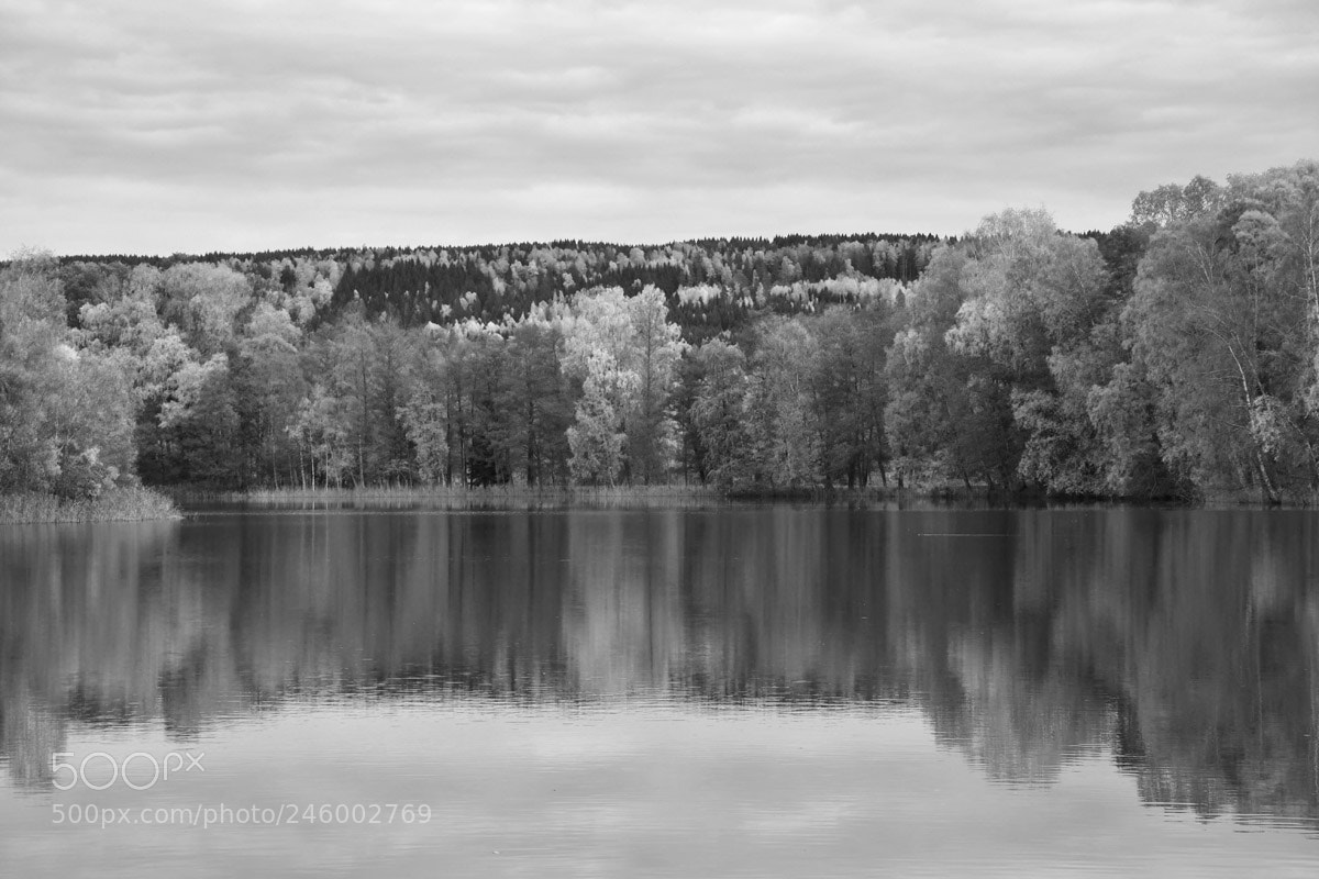 Nikon D500 sample photo. Svart vit photography
