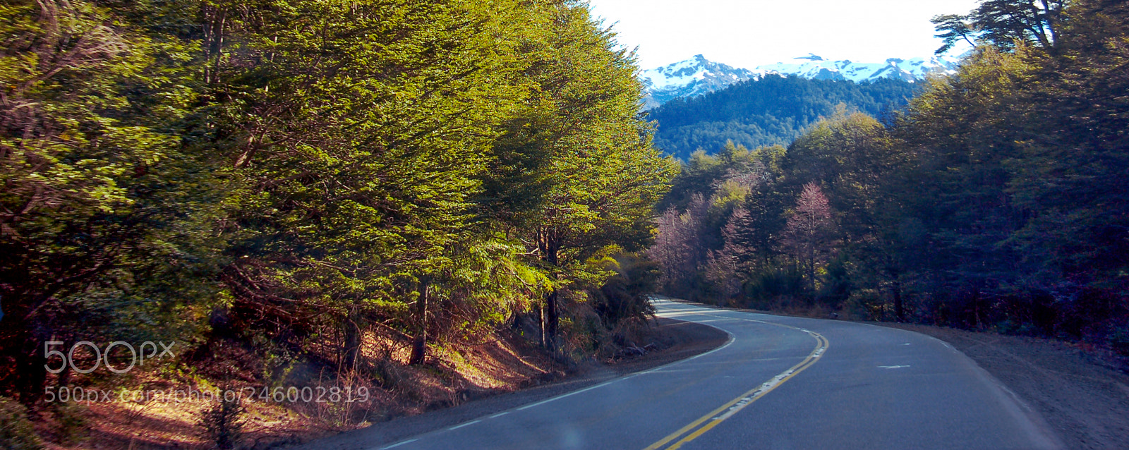 Nikon D50 sample photo. The return of colors... photography