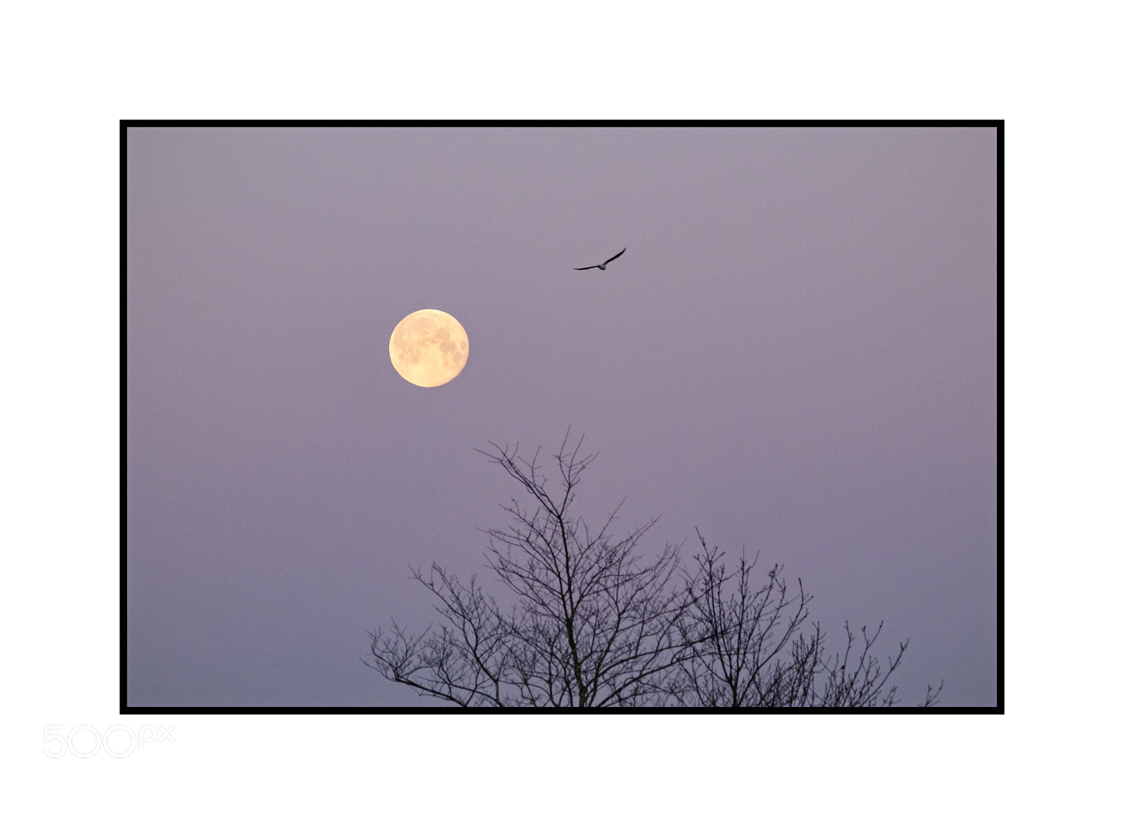 Fujifilm X-T1 sample photo. Supermoon flypast nikkor 200mm photography