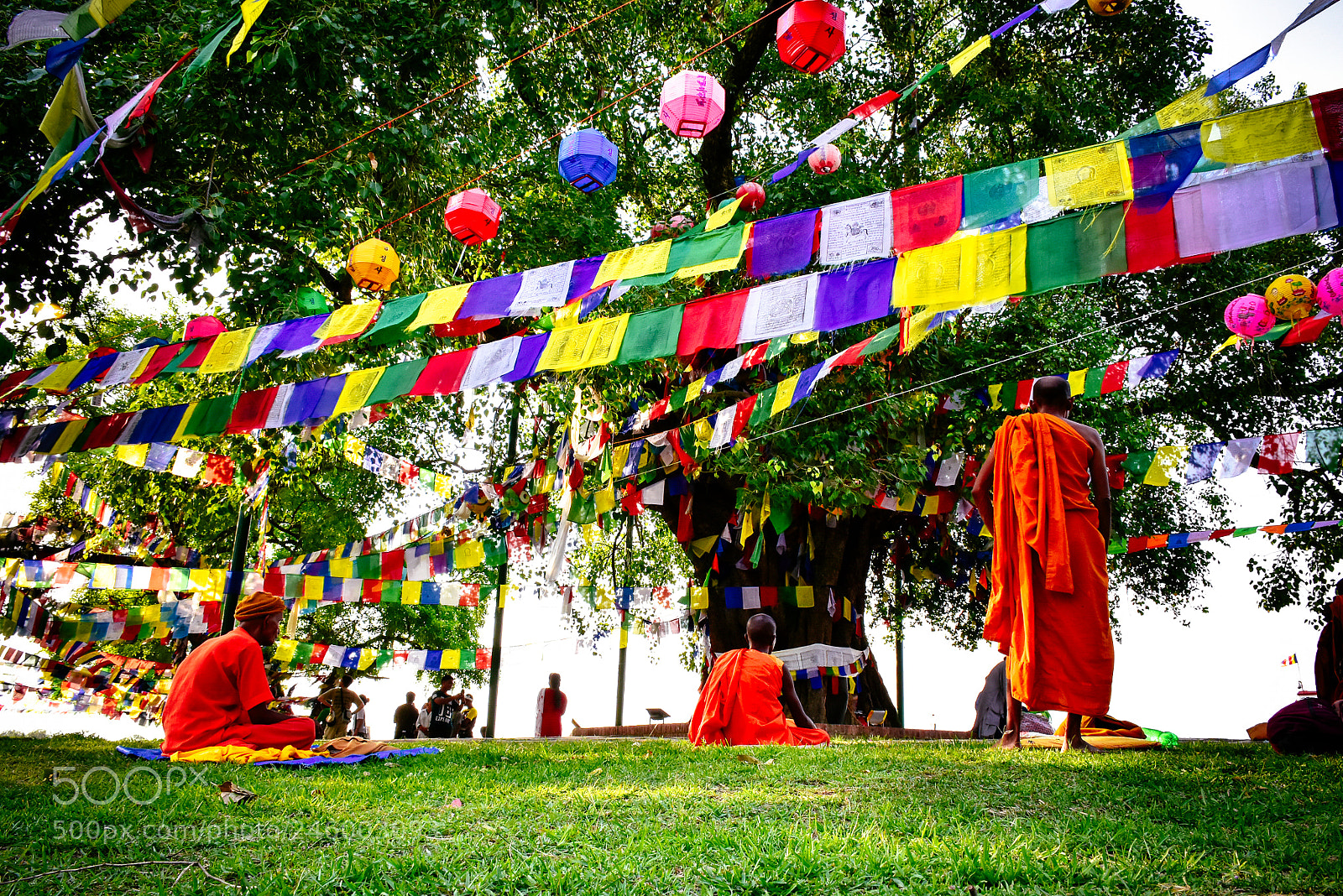 Nikon D7200 sample photo. Meditation in nature photography