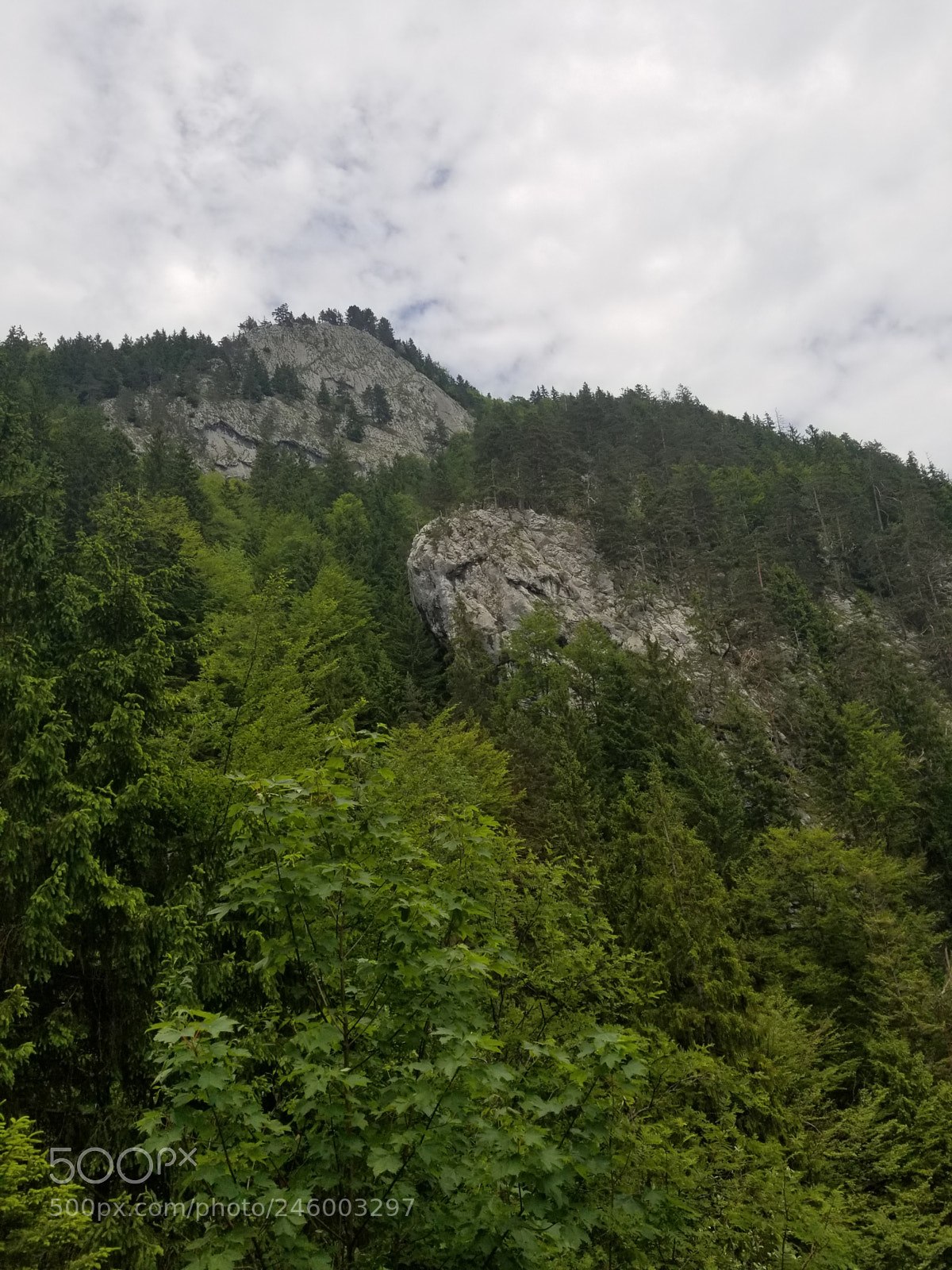 Samsung Galaxy S8 sample photo. 20170602_130955.jpg photography