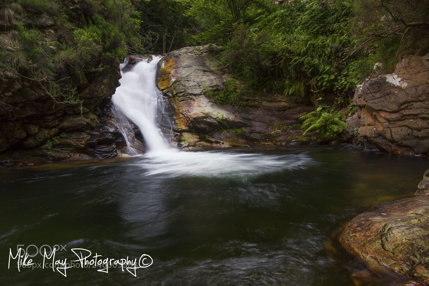 Canon EOS 50D sample photo. When the sound of photography