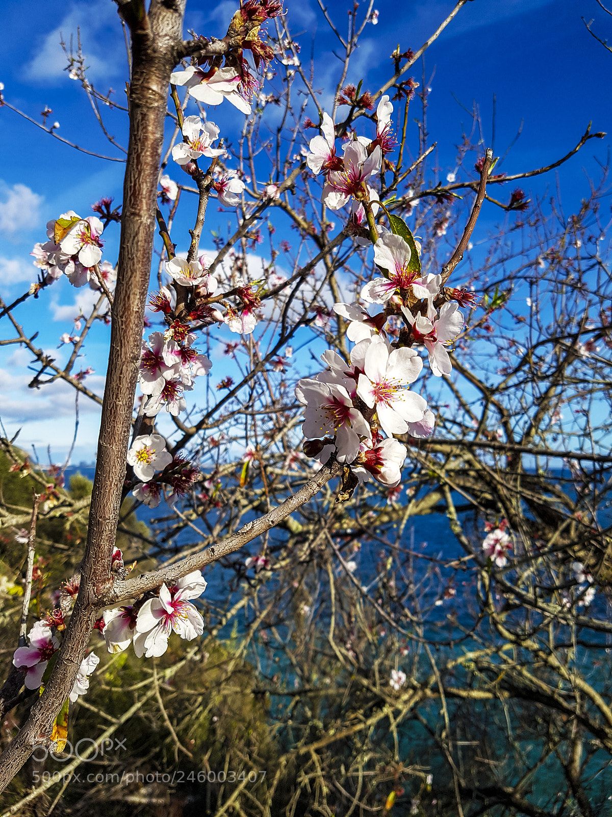 Samsung Galaxy S7 sample photo. 20180213_160221.jpg photography