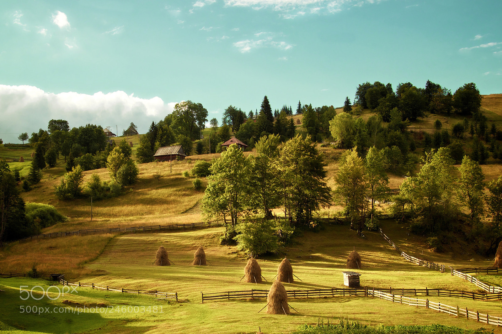 Canon EOS 600D (Rebel EOS T3i / EOS Kiss X5) sample photo. Pestera scarisoara, romania photography